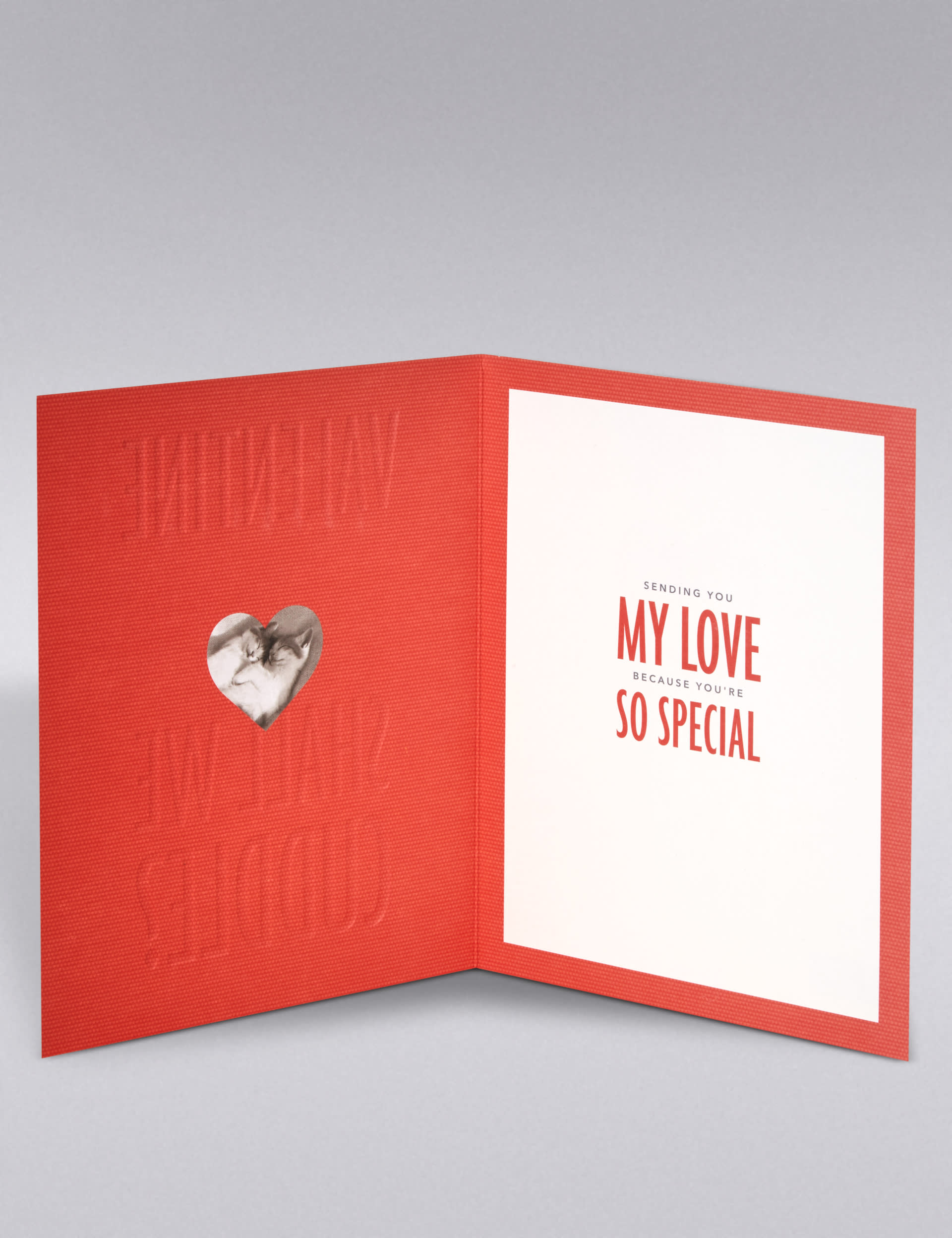 Cats Cuddling Valentine's Day Card Image 2 of 3