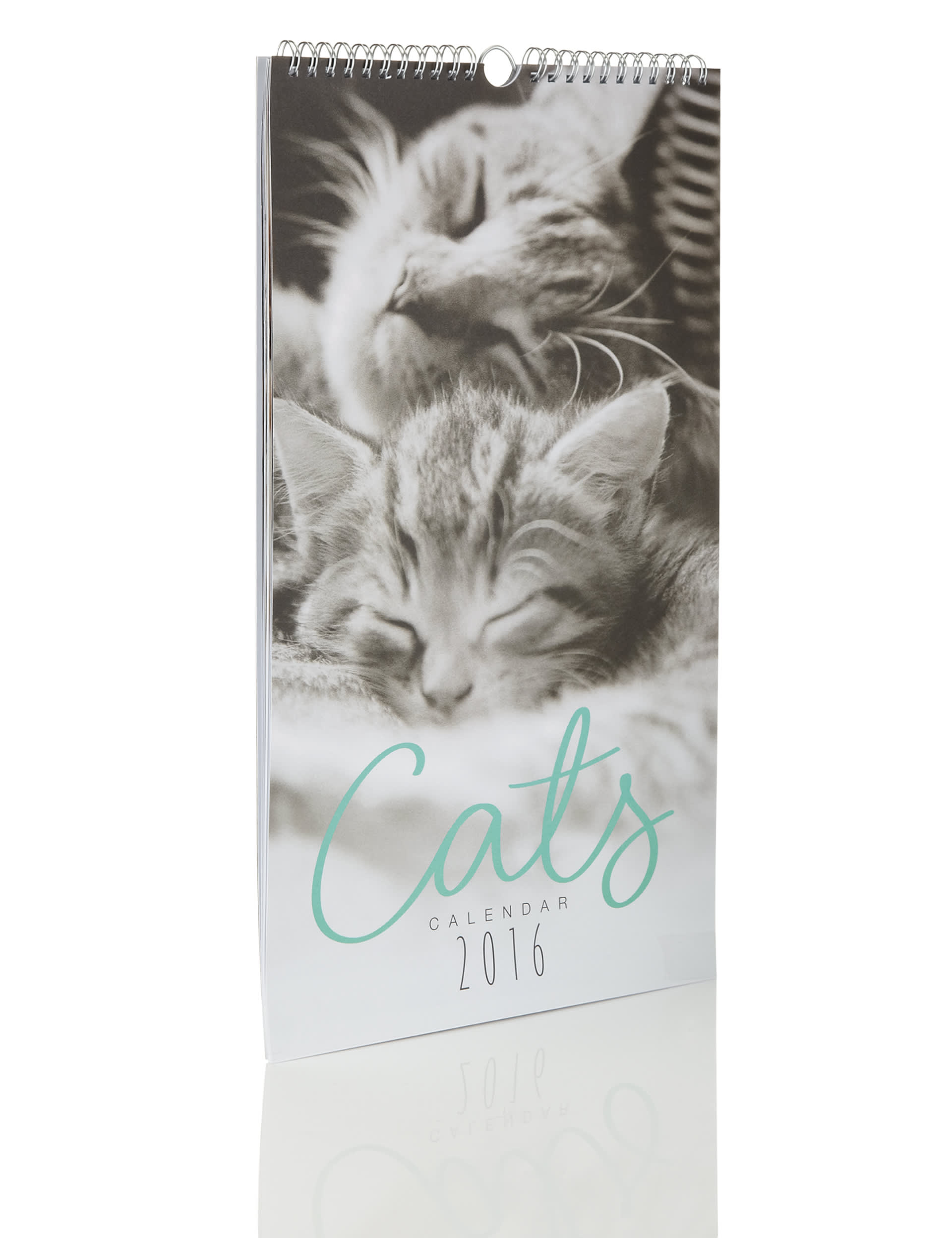 Smitten Kittens 2016 Calendar Image 2 of 4