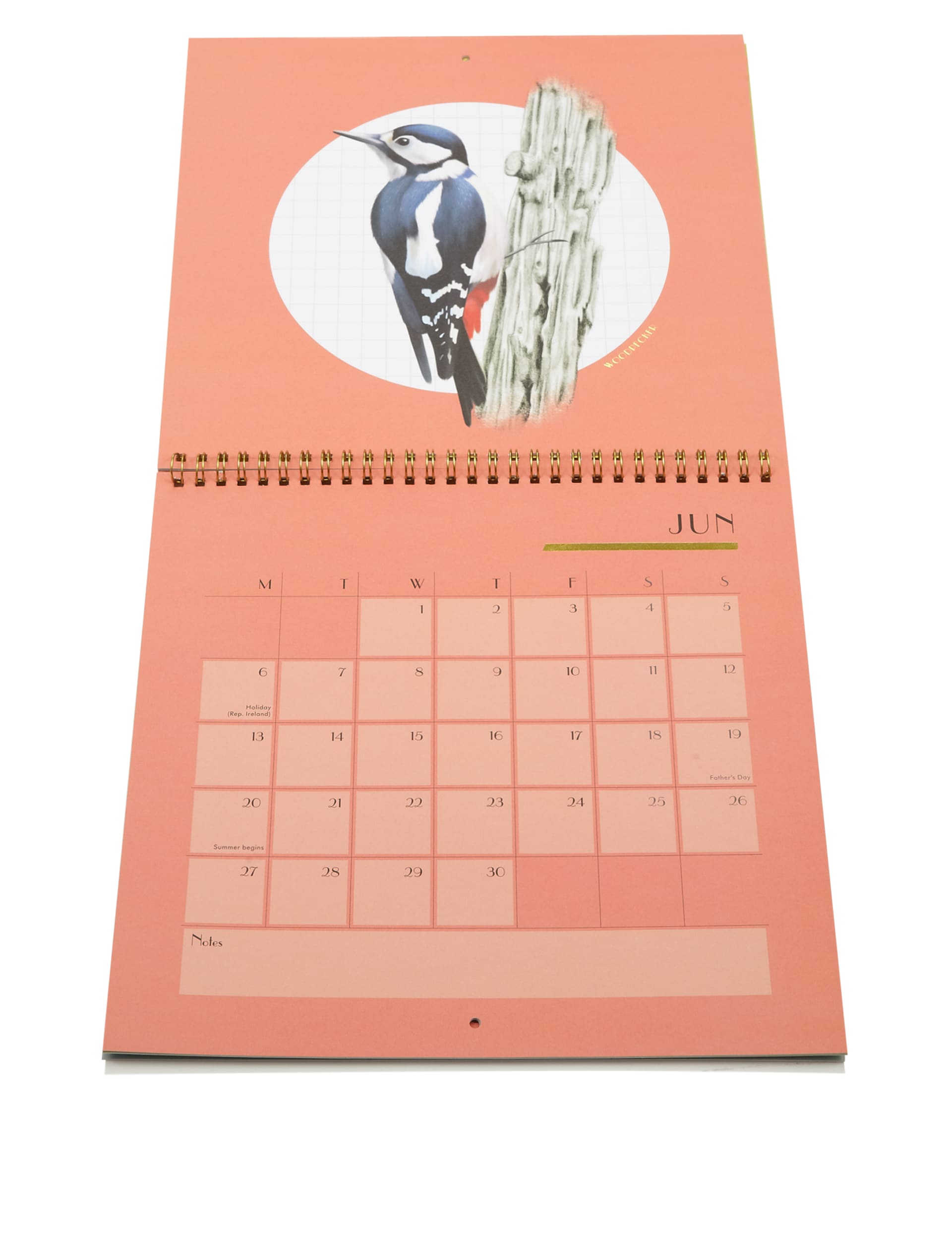 Wild Birds 2016 Calendar Image 2 of 4