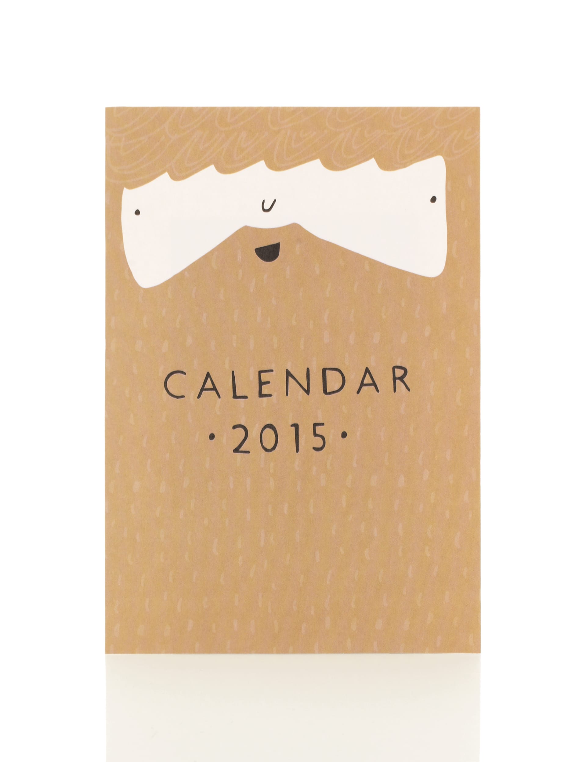 Fun Faces Calendar 2015 Image 2 of 3