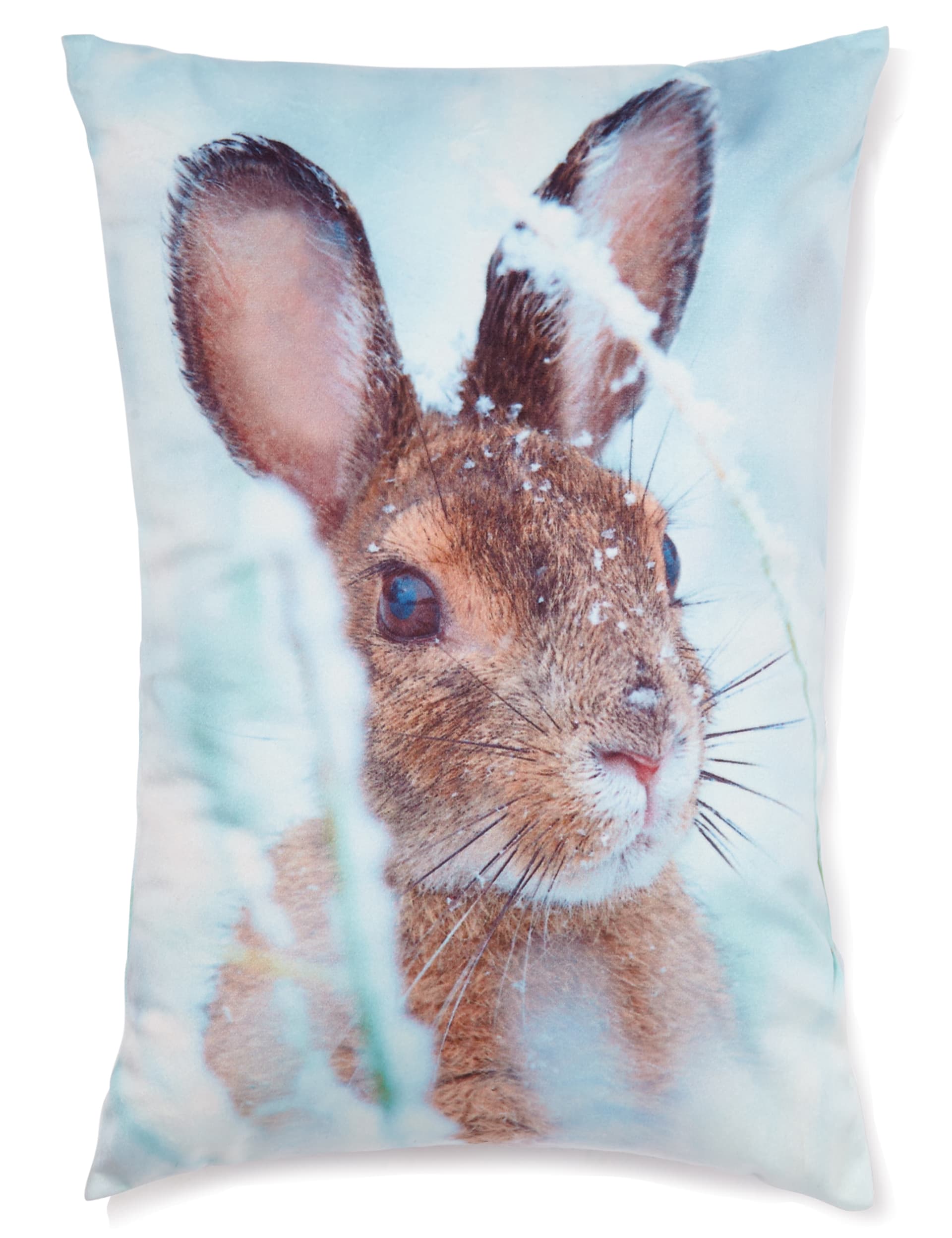 Hare Cushion Image 1 of 1
