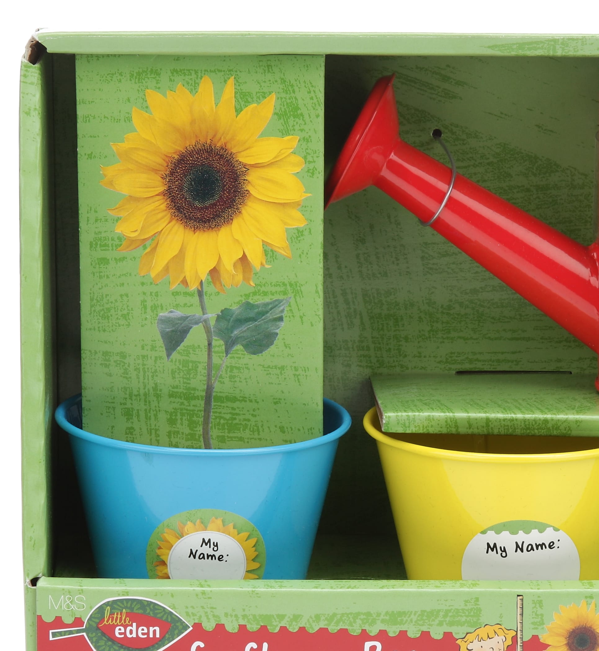Little Eden Sunflower Race Image 2 of 3