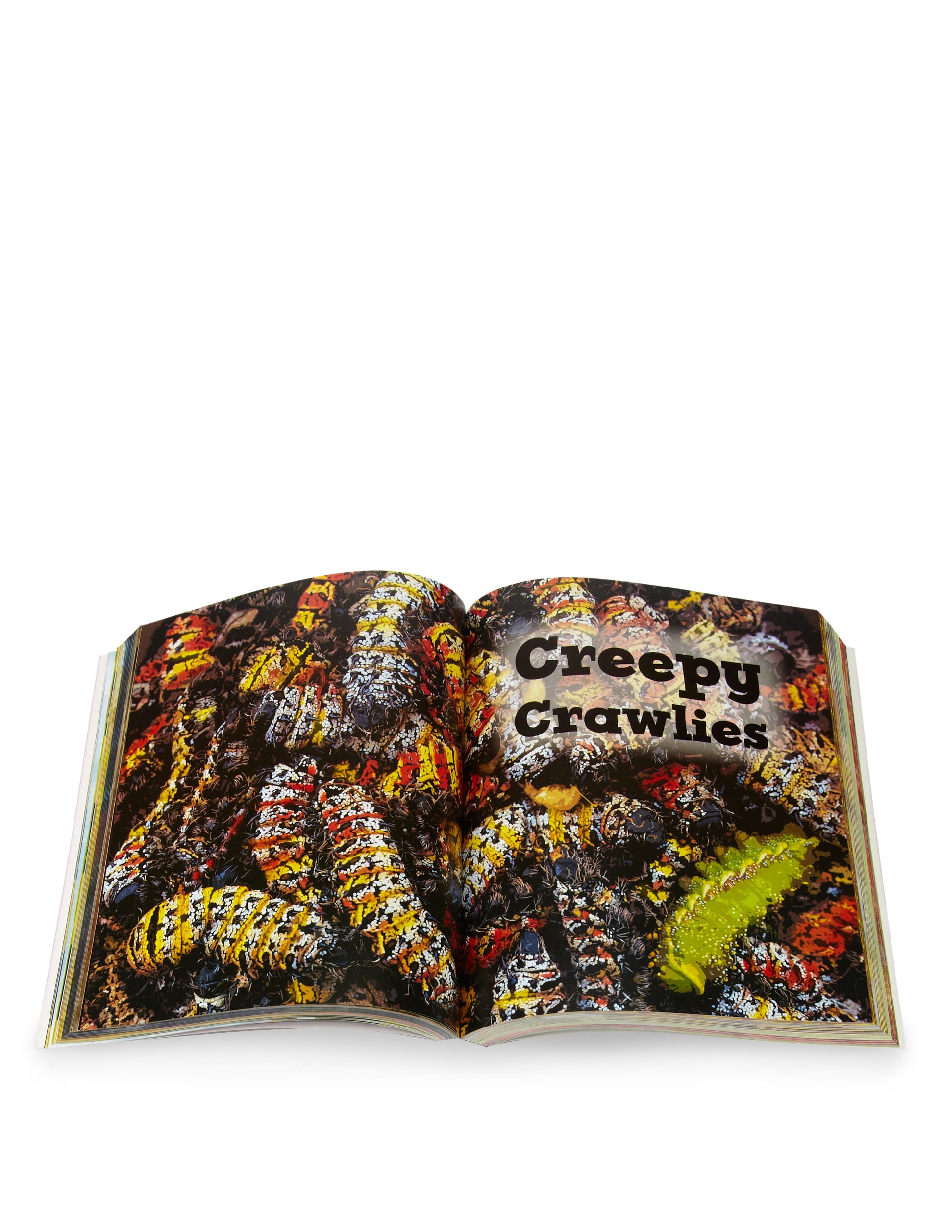 Grossest Jokes Book Image 2 of 3