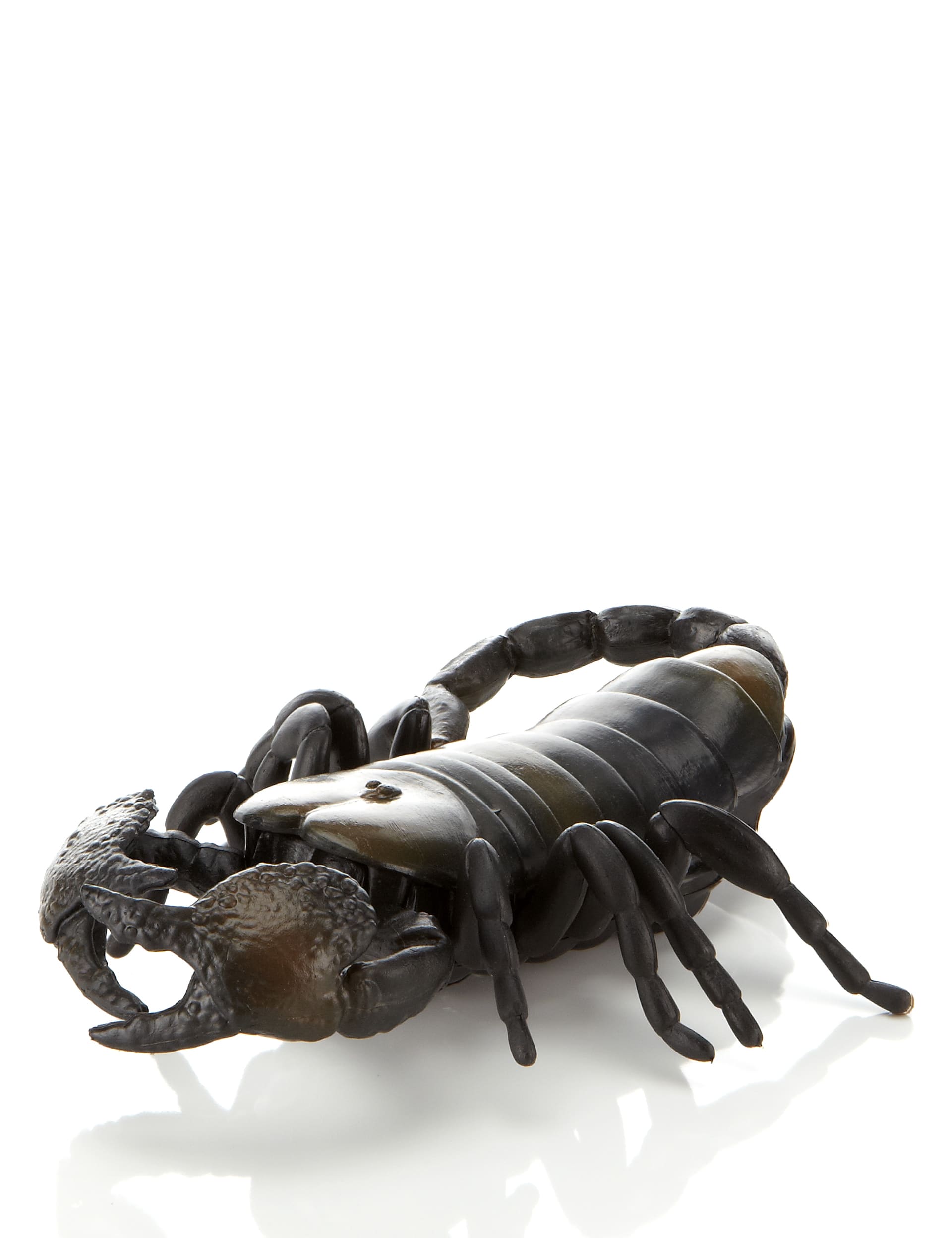 Pull Back Trantula Scorpion Toy Image 2 of 3