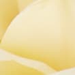 Set of 2 Artificial Real Touch Rose Stems - yellow