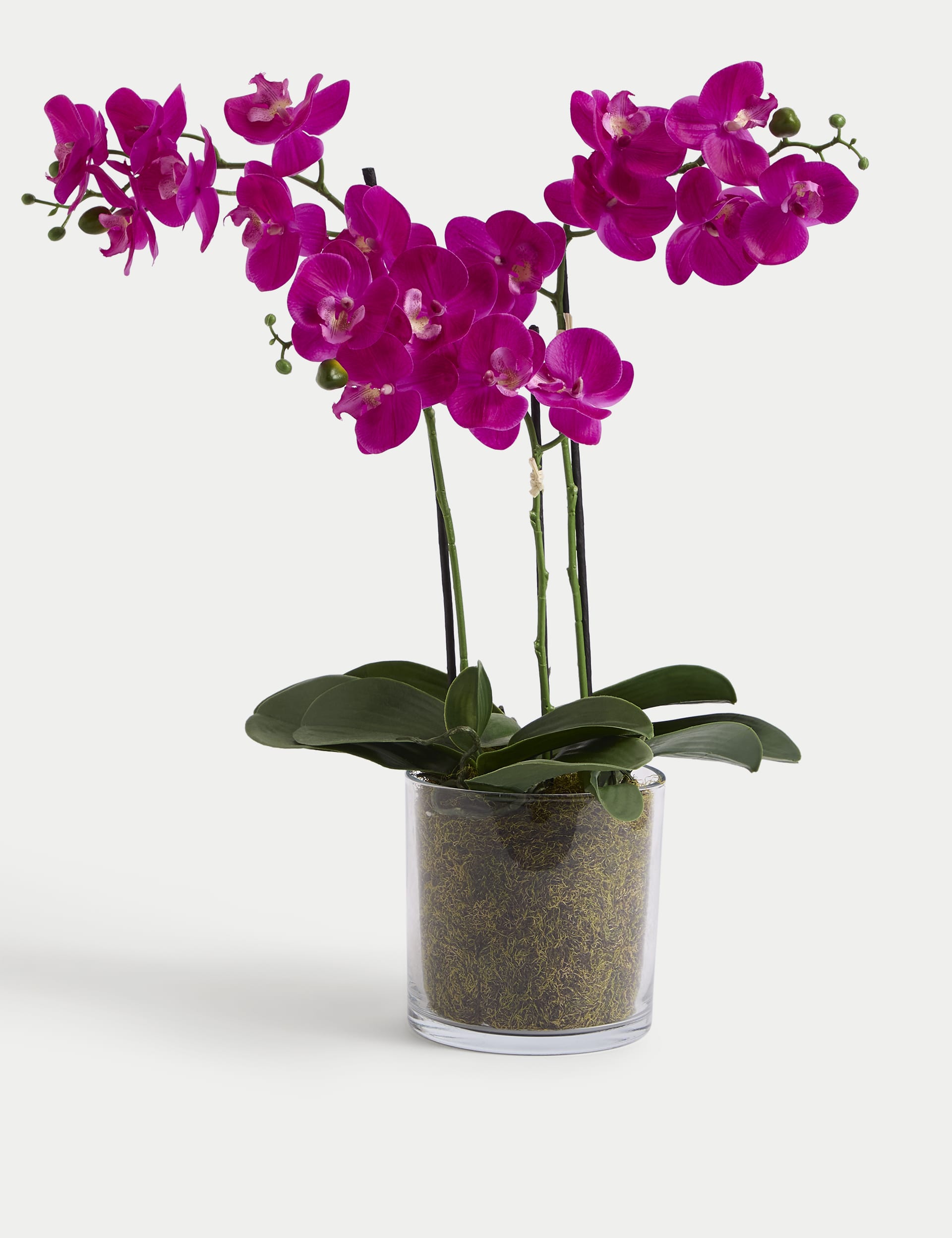 Artificial Real Touch Large Orchid in Glass Pot