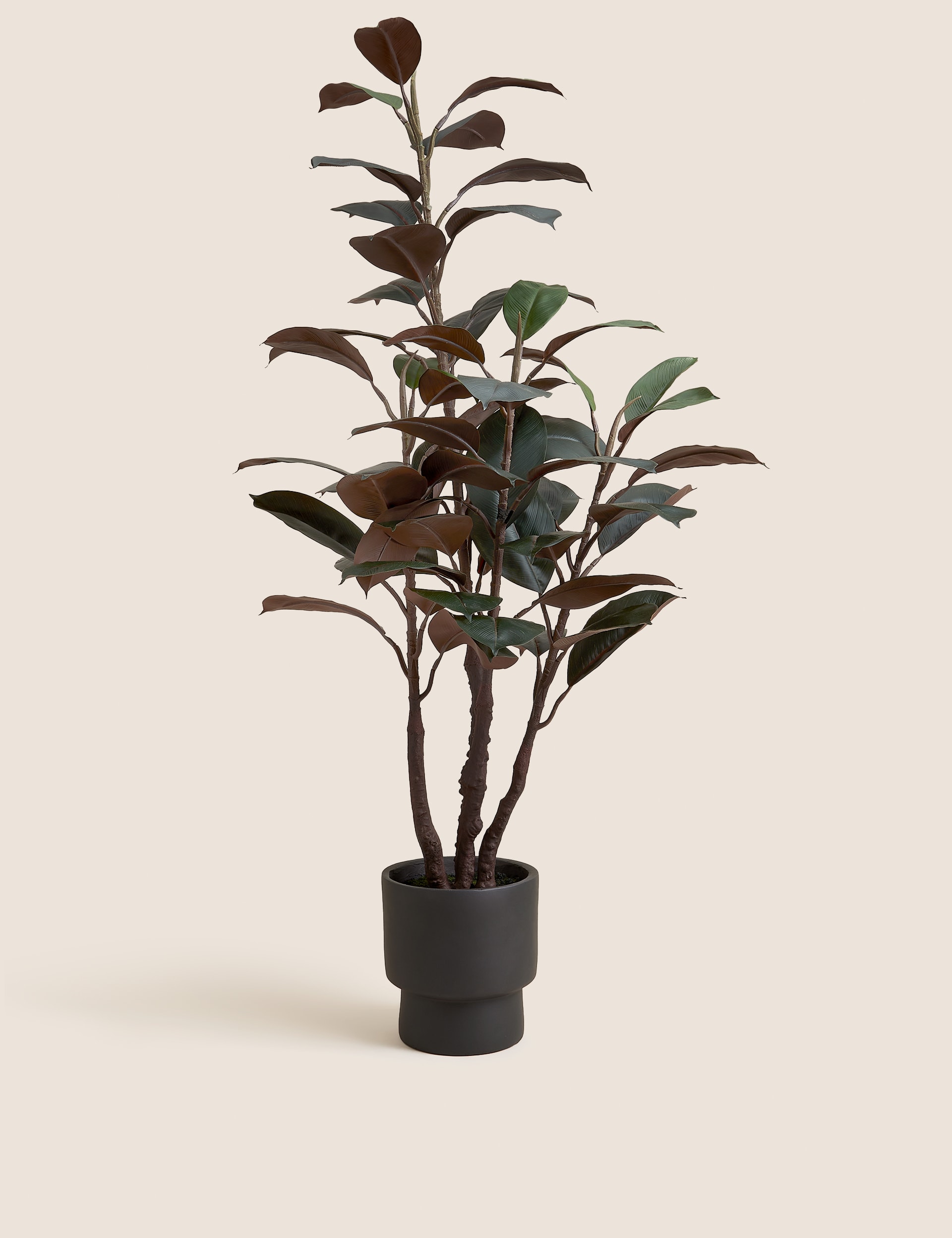 Artificial Rubber Plant in Cement Pot