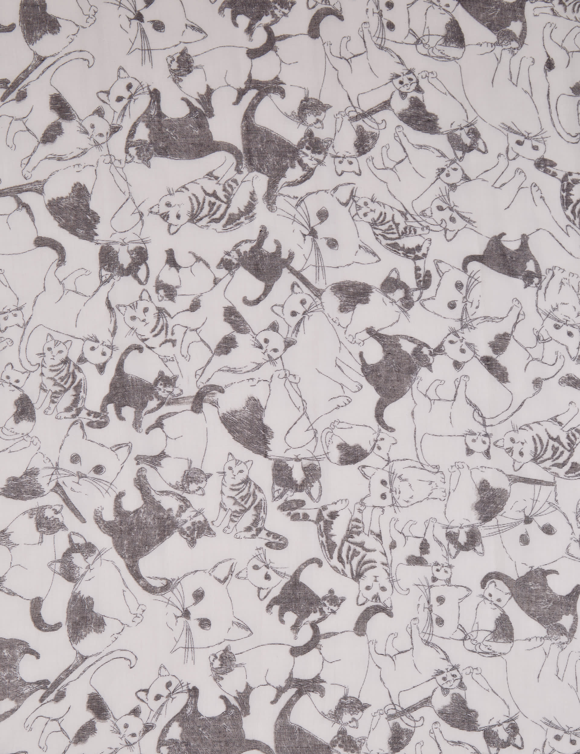 Sketch Cat Print Scarf Image 2 of 3