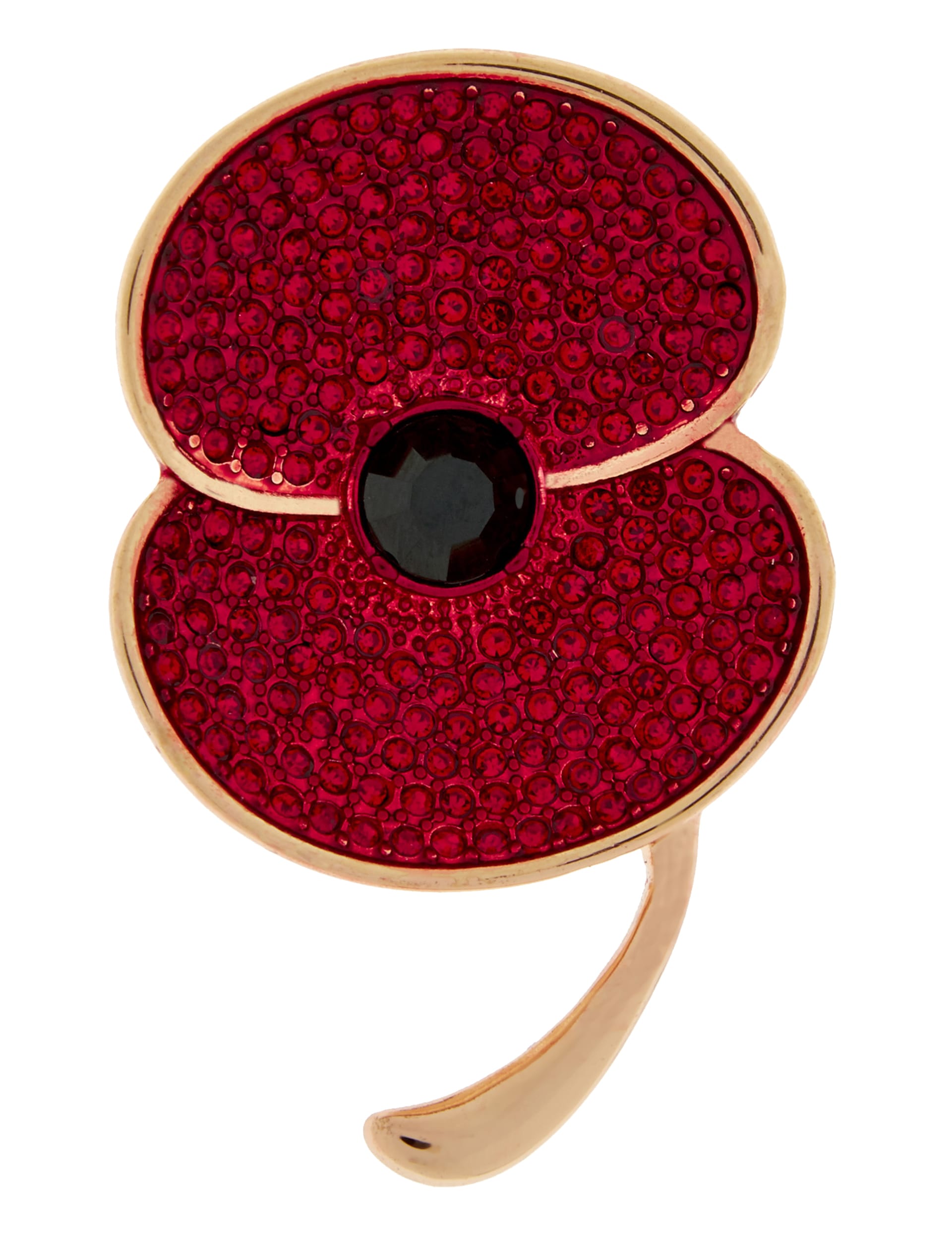 Large Poppy Brooch Image 1 of 2