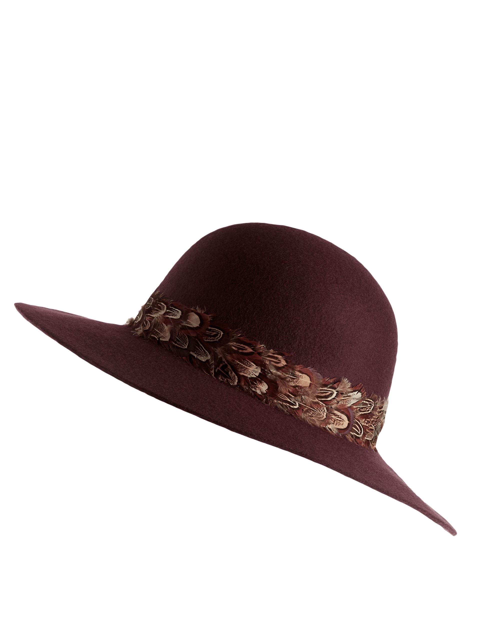Pure Wool Feather Floppy Hats Image 2 of 4