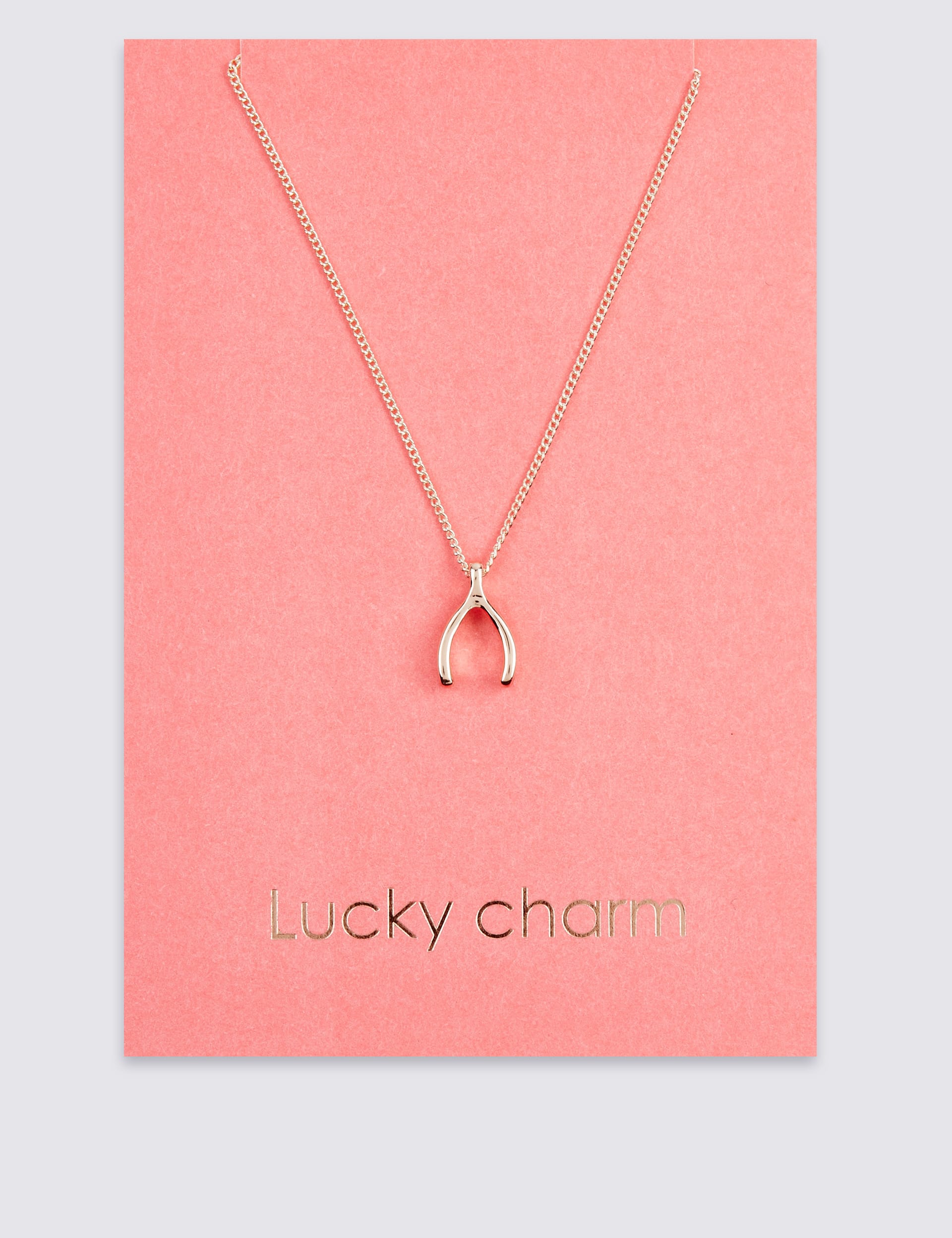 Lucky Charm Necklace Image 2 of 4