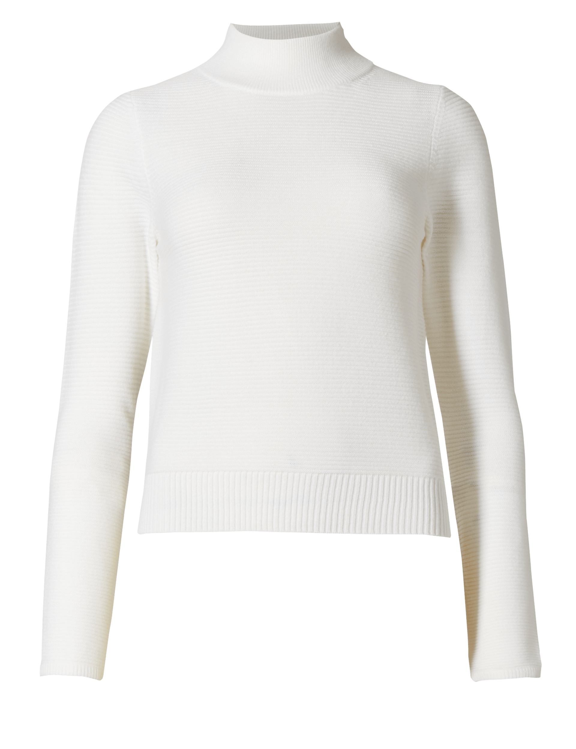 Rib Knit Turtle Neck Jumper Image 2 of 5