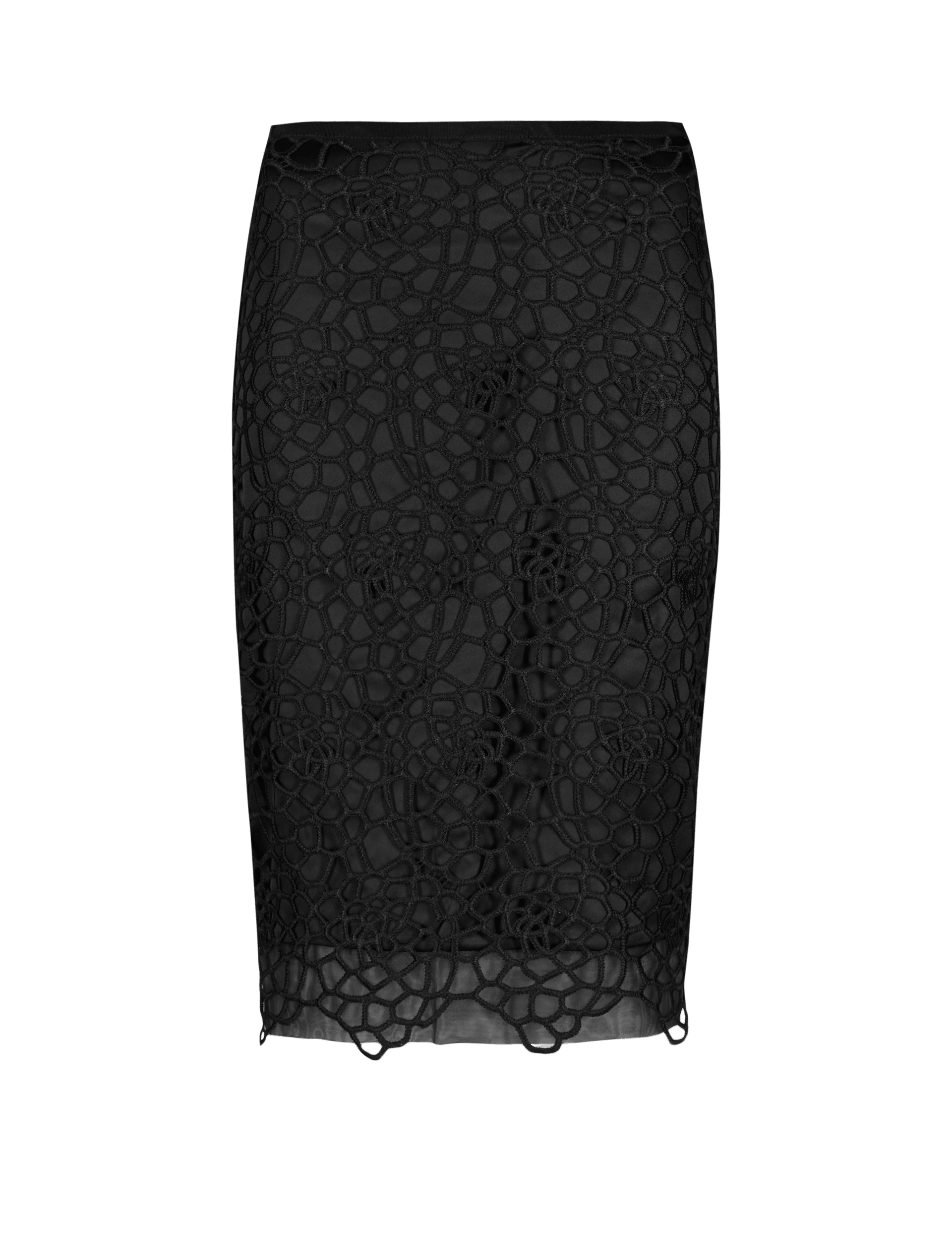Lace Pencil Skirt Image 2 of 4
