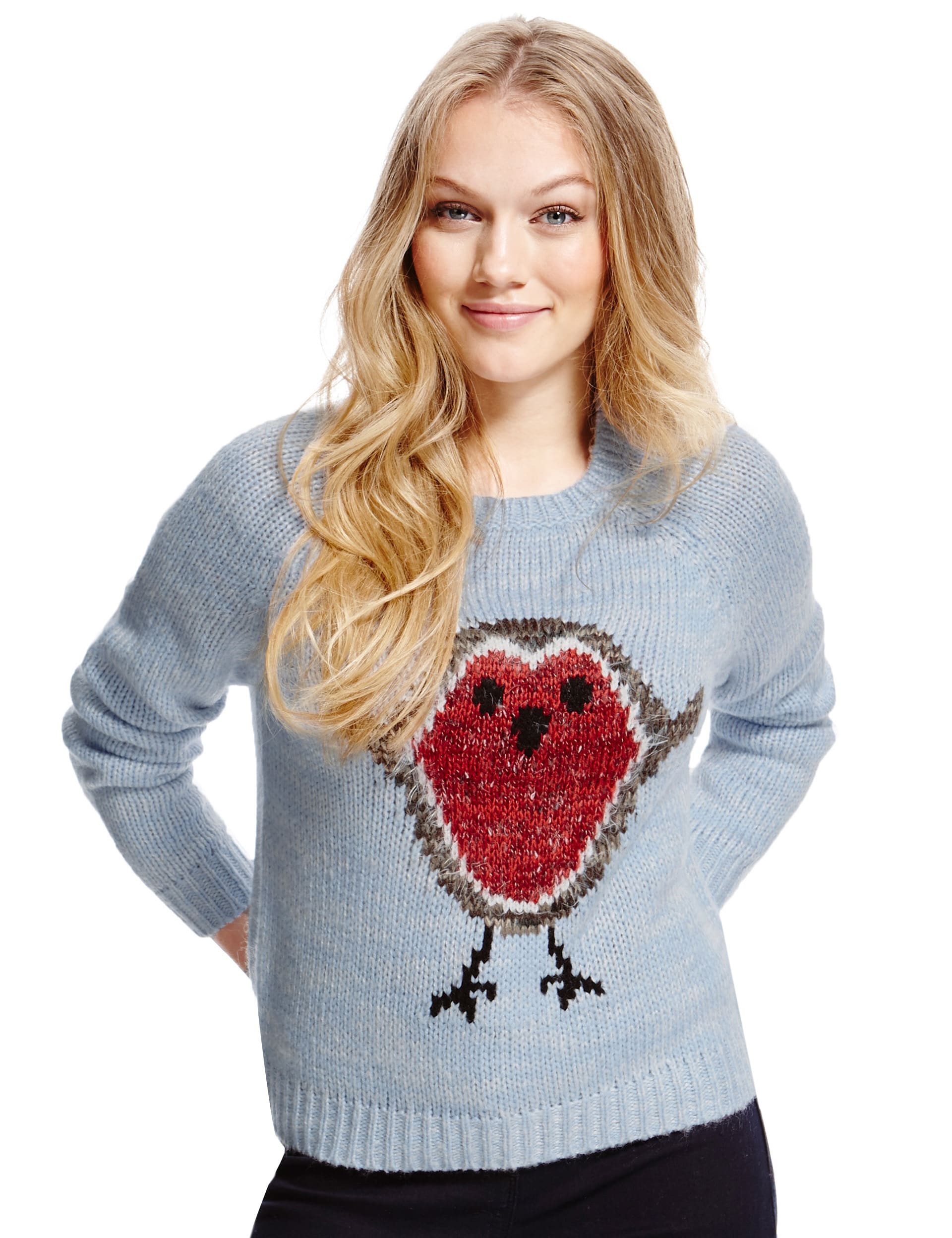 PETITE Fluffy Robin Jumper M S Collection M S