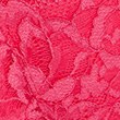 Sheer and Lace Beau Wired Plunge Bra (A-E) - cerise