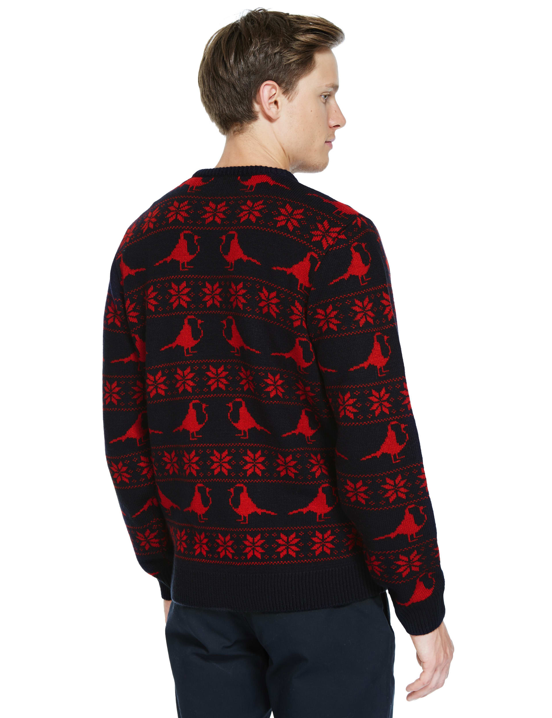 Crew Neck Christmas Robin Novelty Jumper M S Collection M S