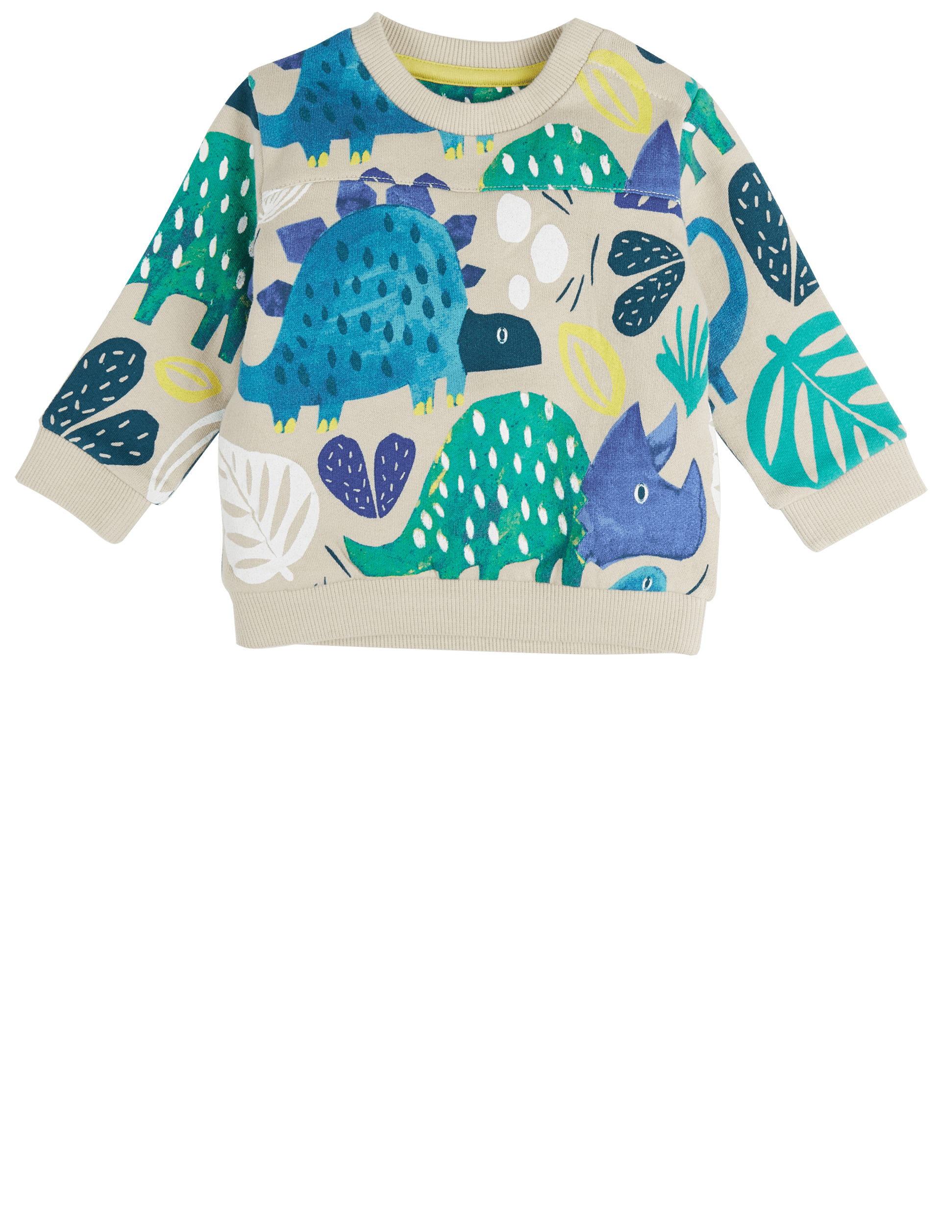 Baby dinosaur jumper online