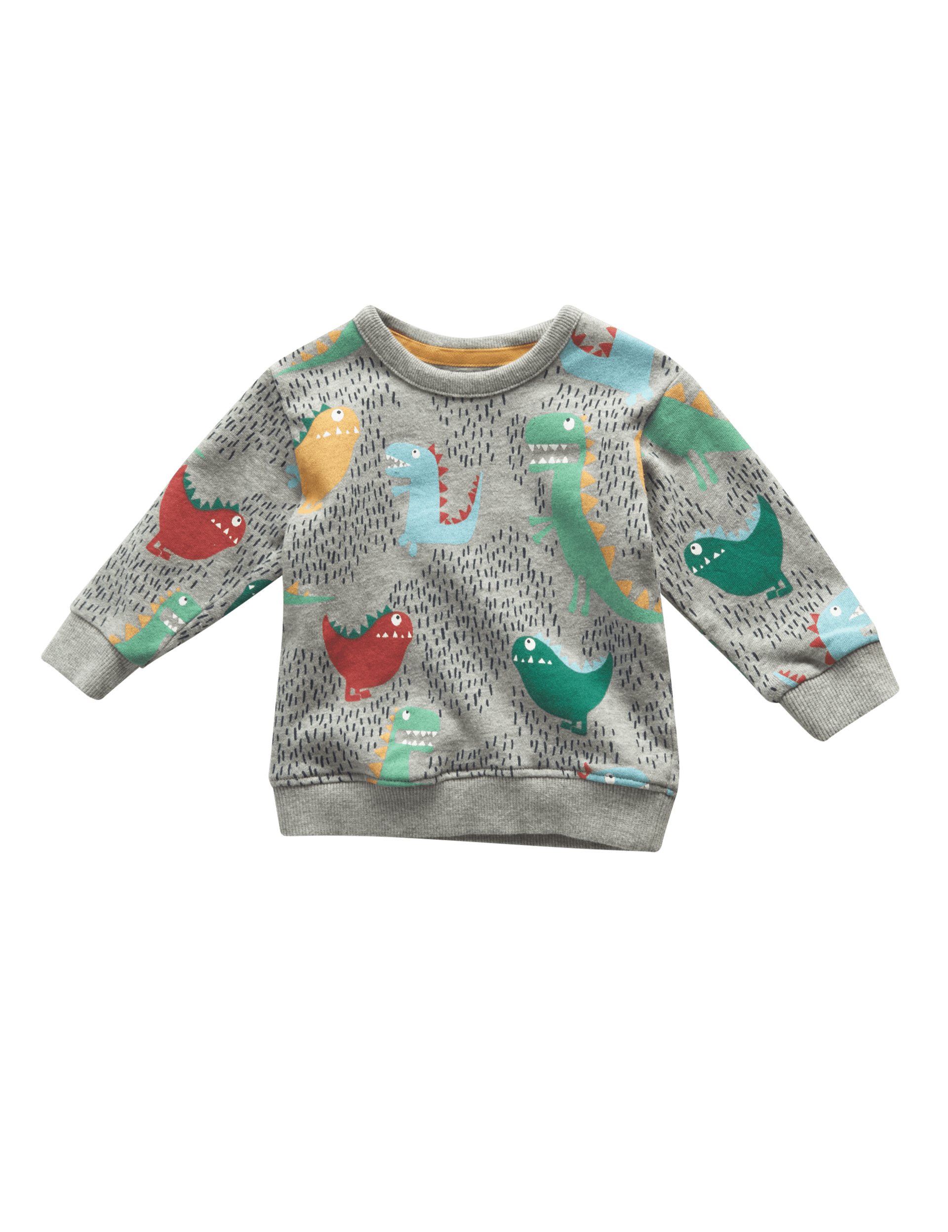 Pure Cotton Dinosaur Print Sweatshirt Image 2 of 4