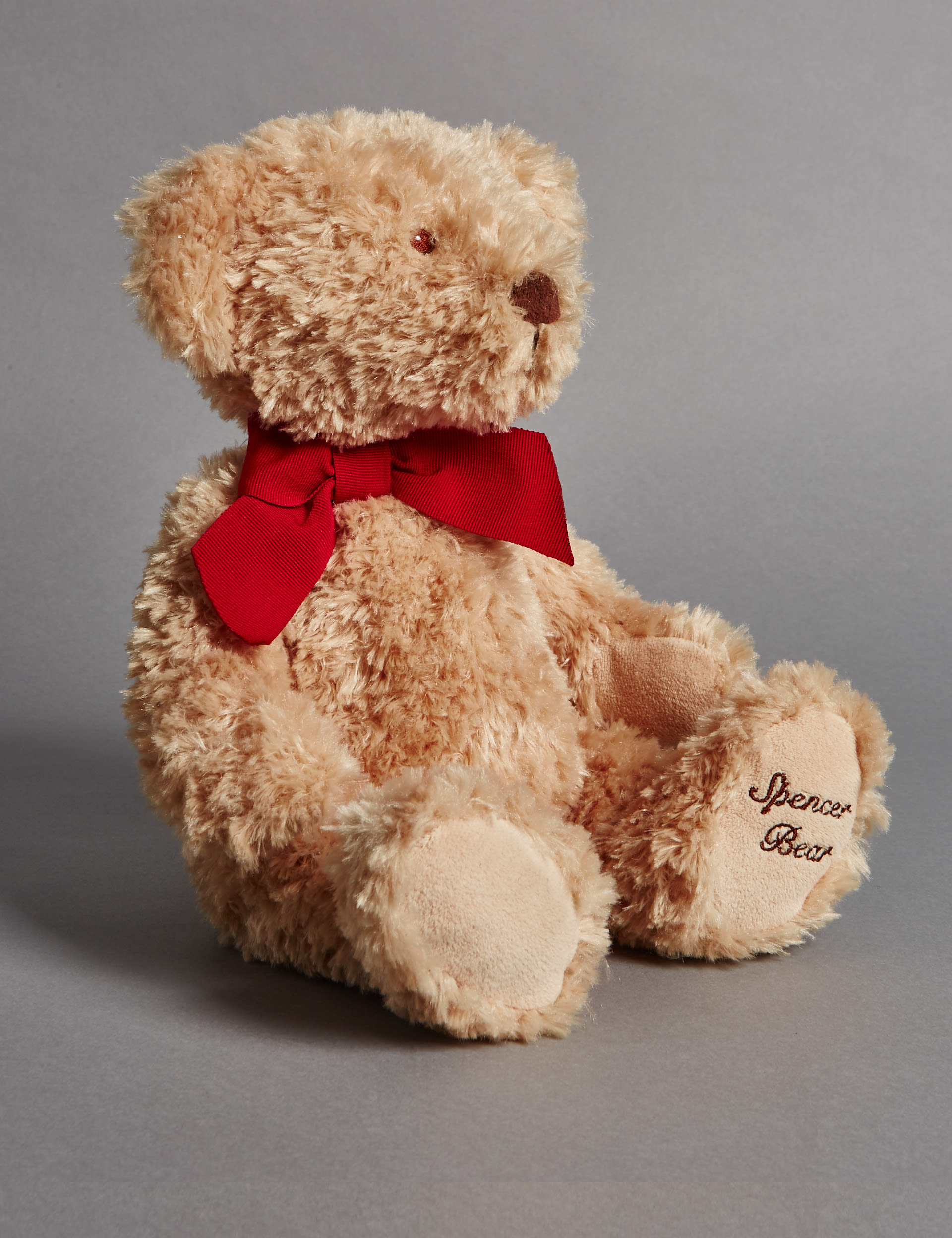Spencer Bear Image 1 of 2