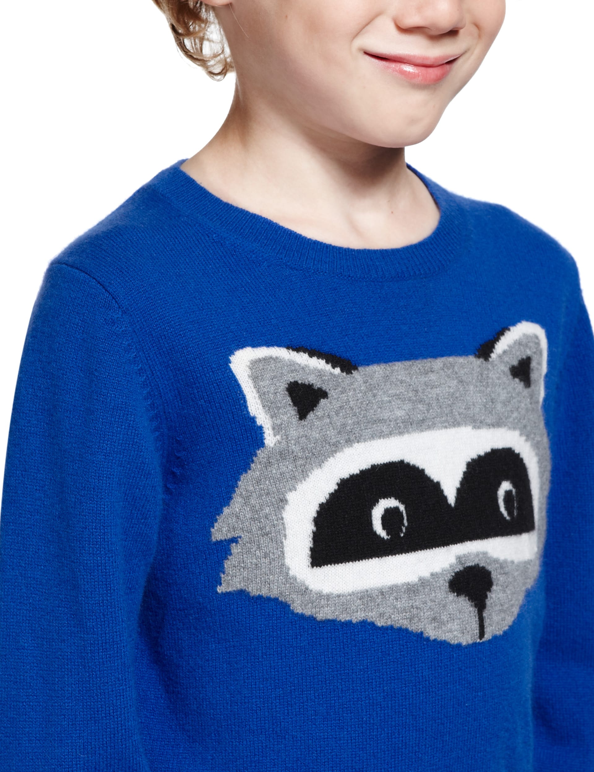 Racoon jumper best sale