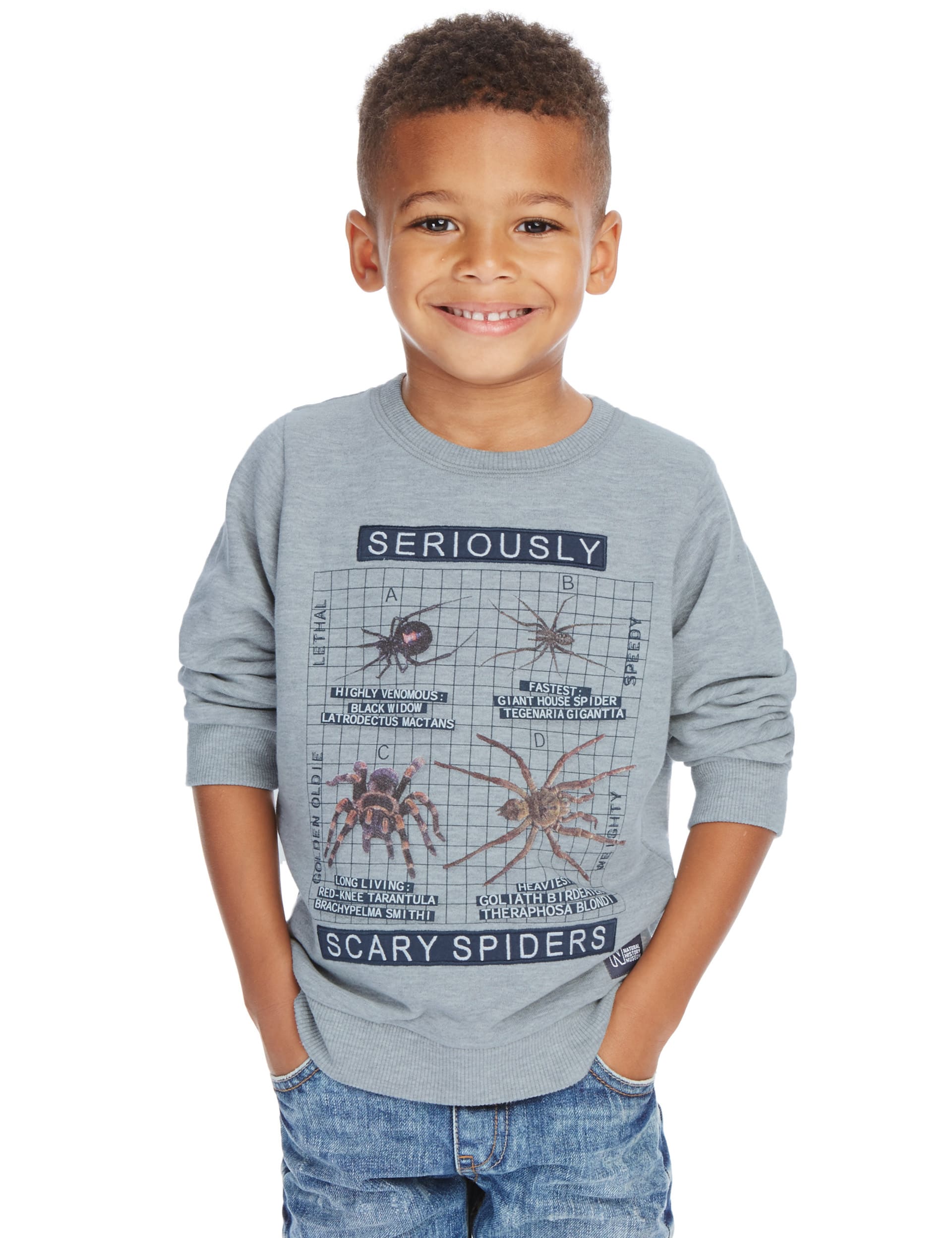 Natural History Museum Spider Sweatshirt (2-8 Years) Image 2 of 3