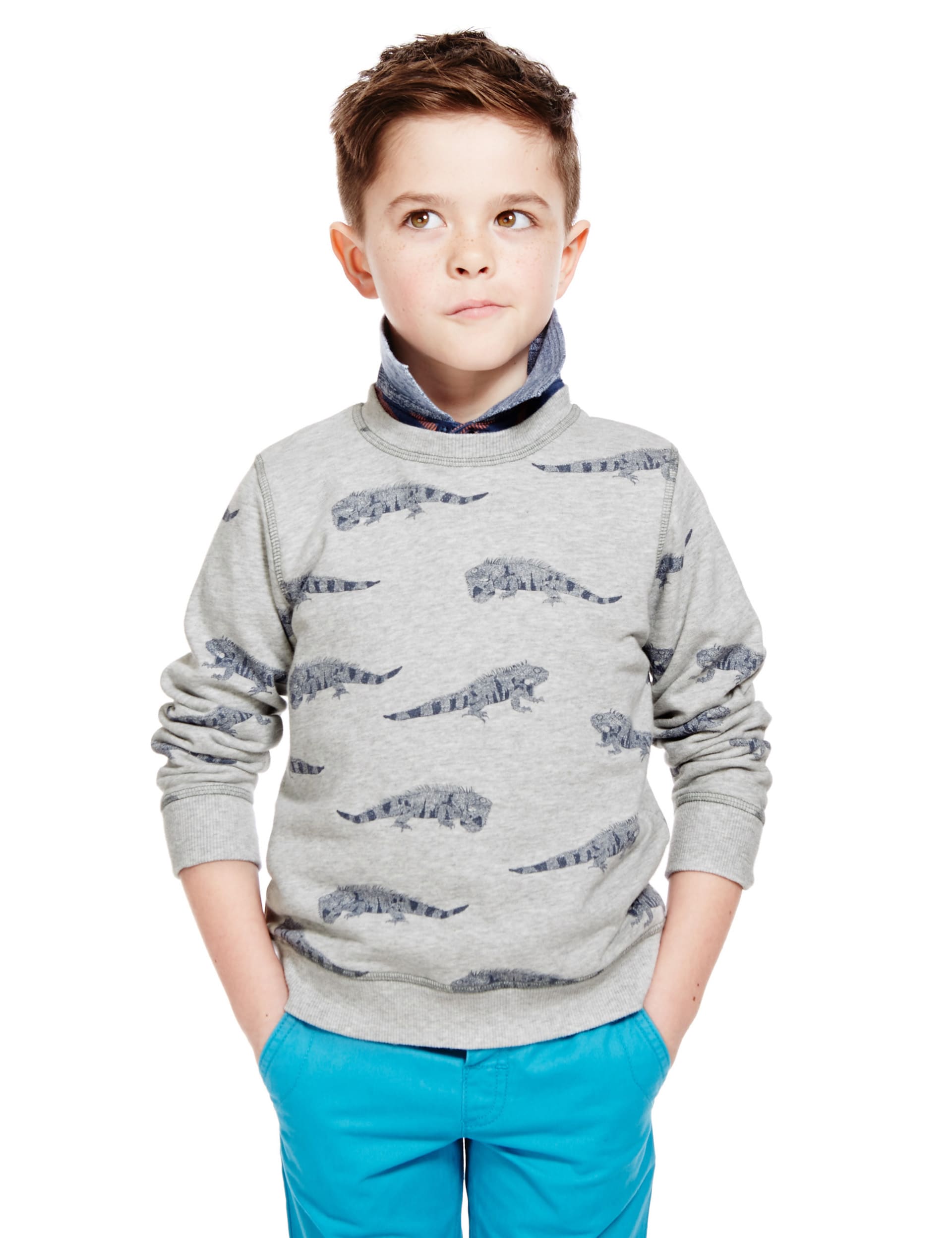 Pure Cotton Iguana Print Sweatshirt (1-7 Years) Image 2 of 3