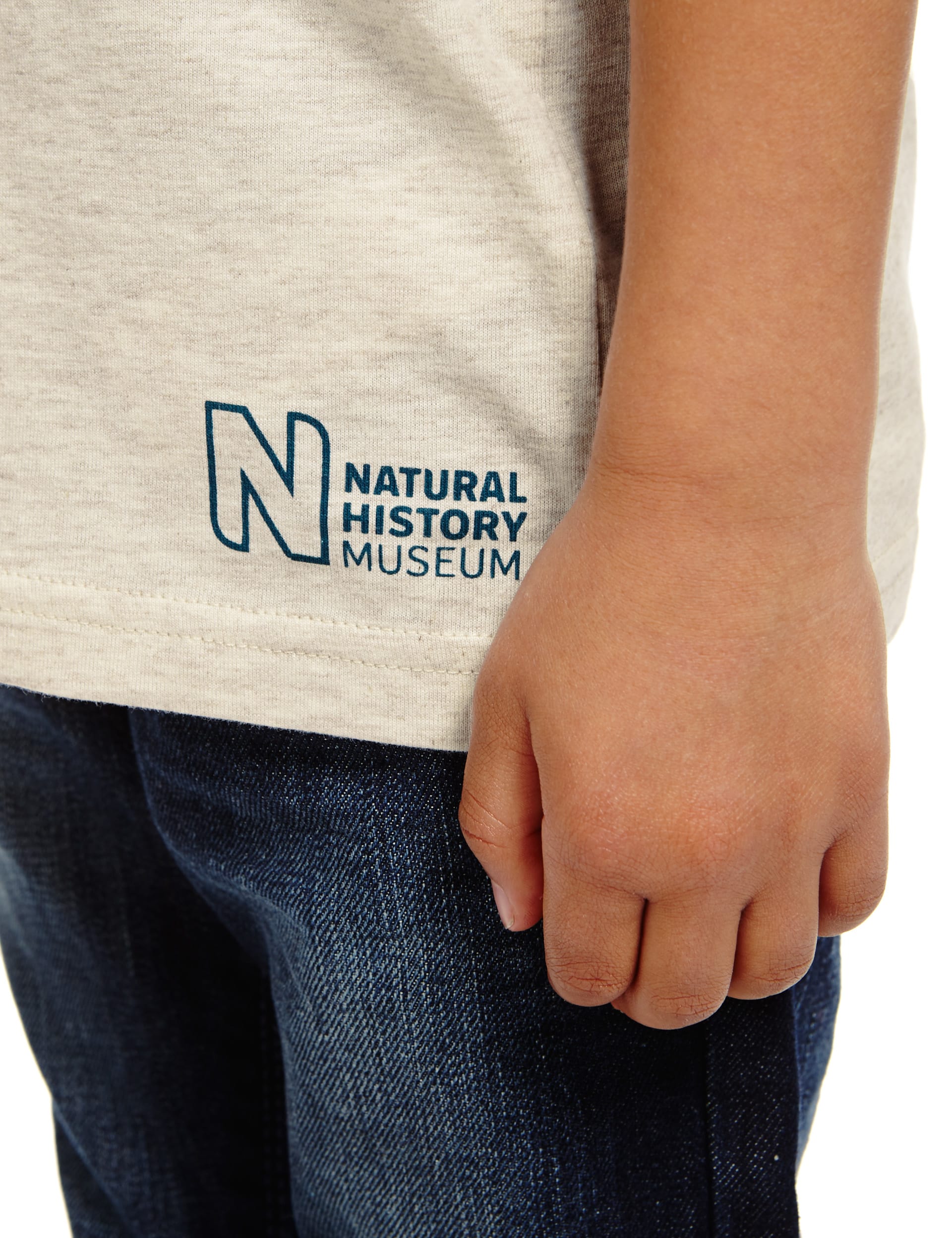 3 Pack Pure Cotton Natural History Museum T-Shirts (2-8 Years) Image 2 of 7