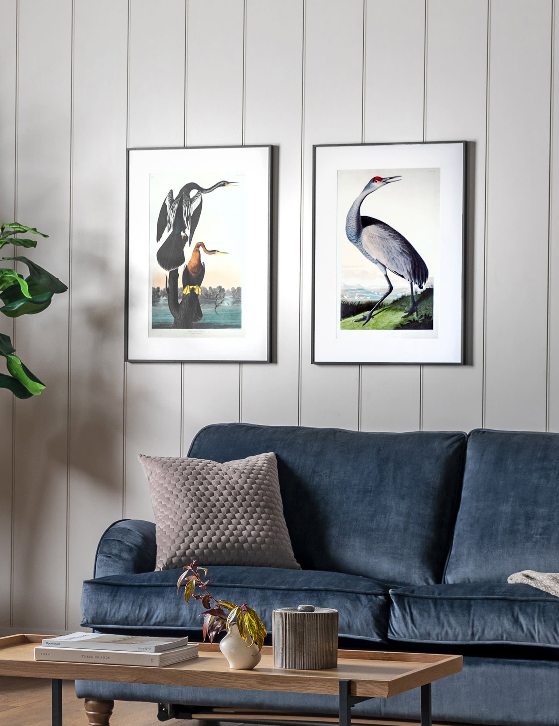 Set of 2 Exotic Fowl Study Rectangle Framed Art | Gallery Home | M&S