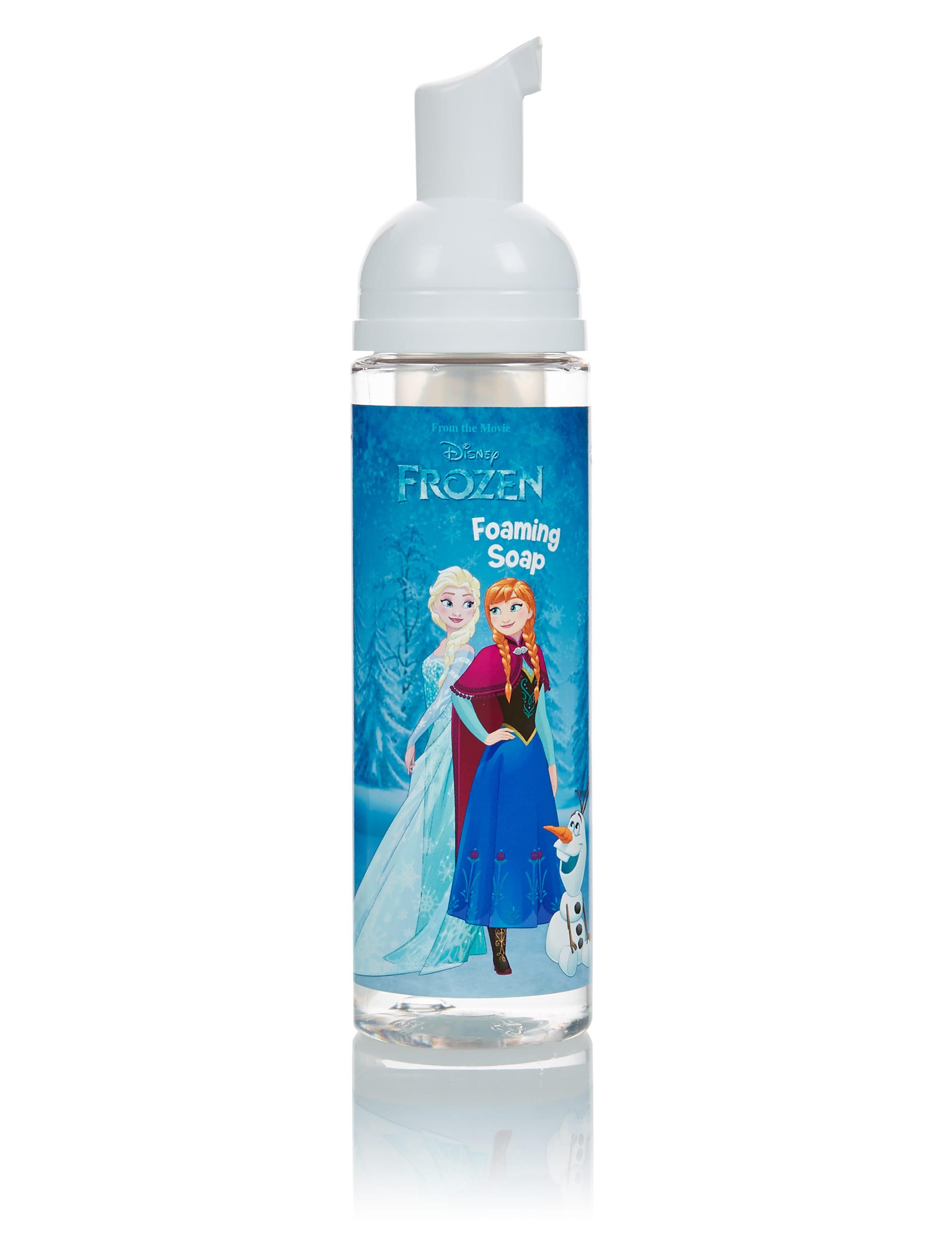 Soap Foam Pump 250ml Image 1 of 1
