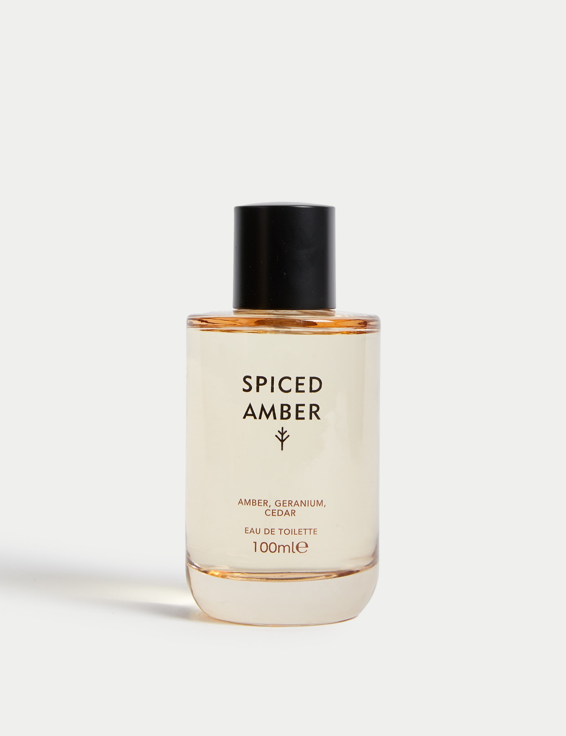 Spiced Amber Eau De Toilette 100ml
