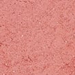 Blushing Act Skin Perfecting Powder 12g - pinkmix