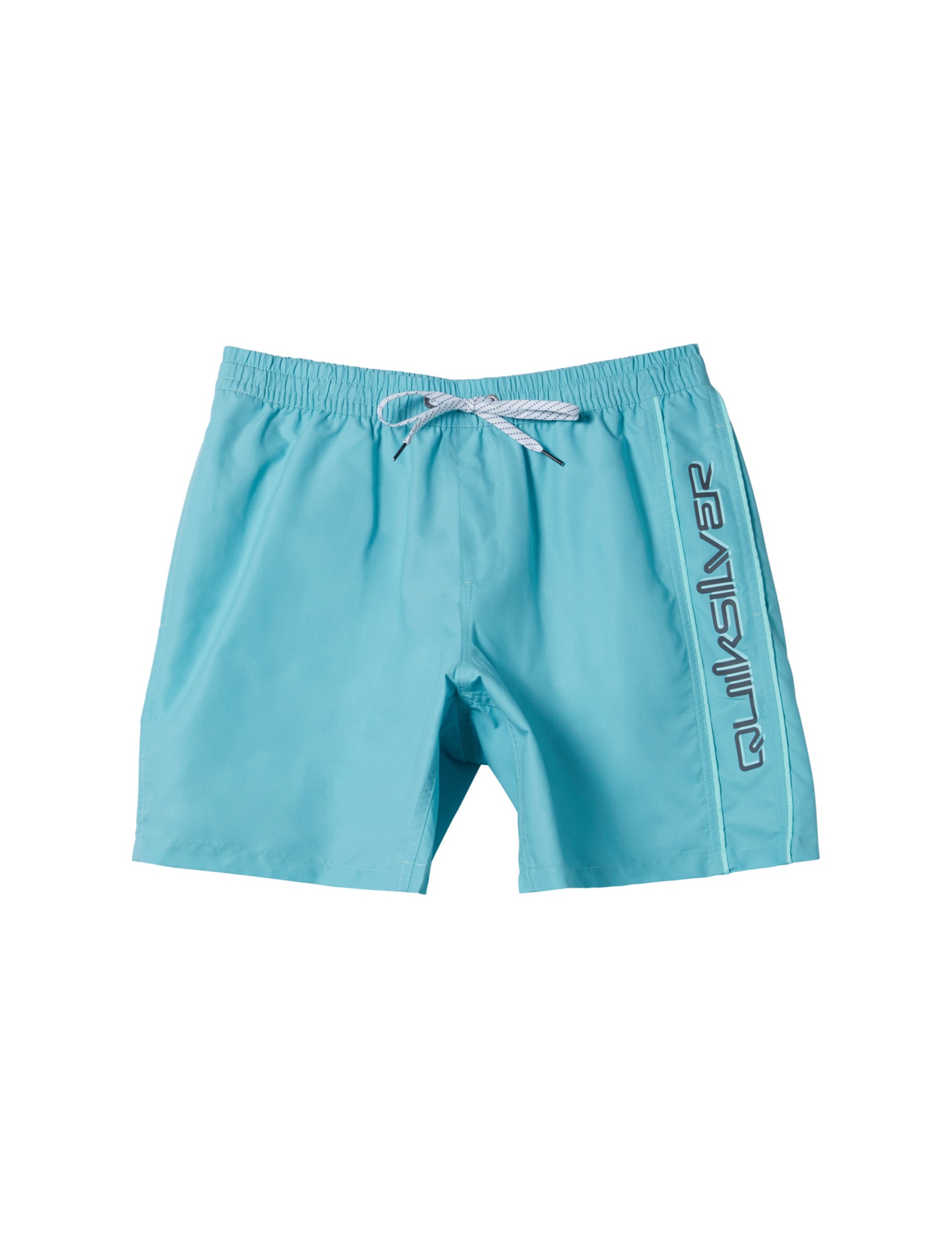 Everyday Vert Volley Swim Shorts