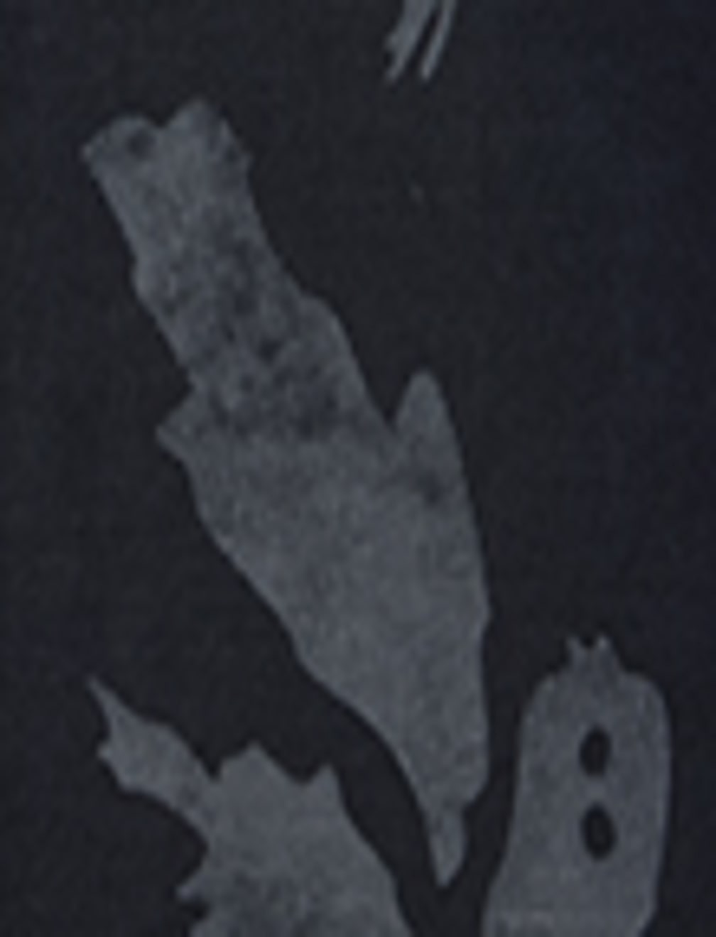 Linen Rich Abstract Spread Collar Shirt