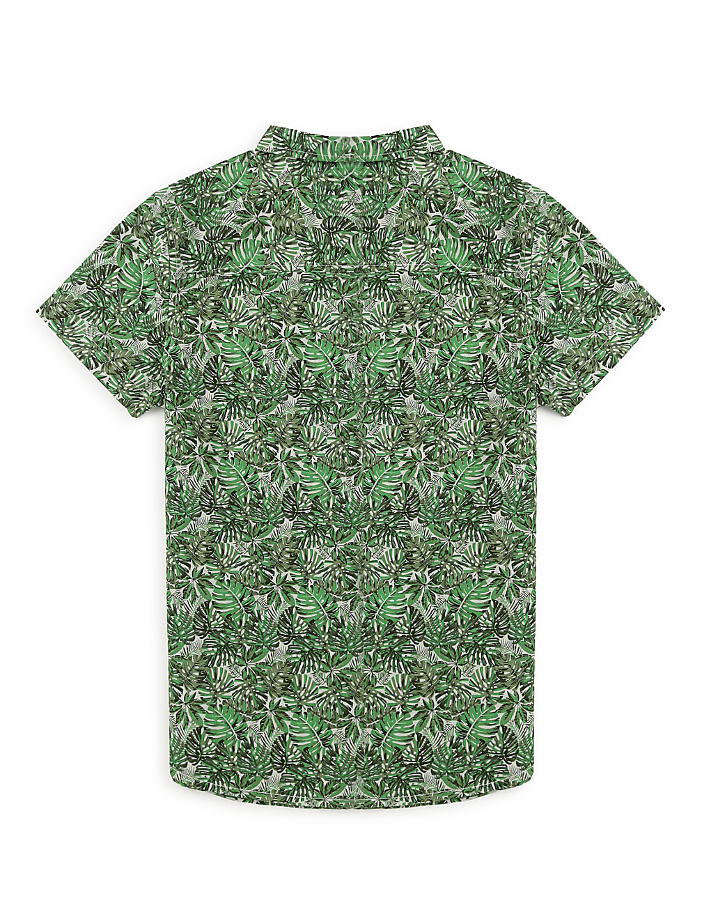 Pure Cotton Tropical Spread Collar Shirt