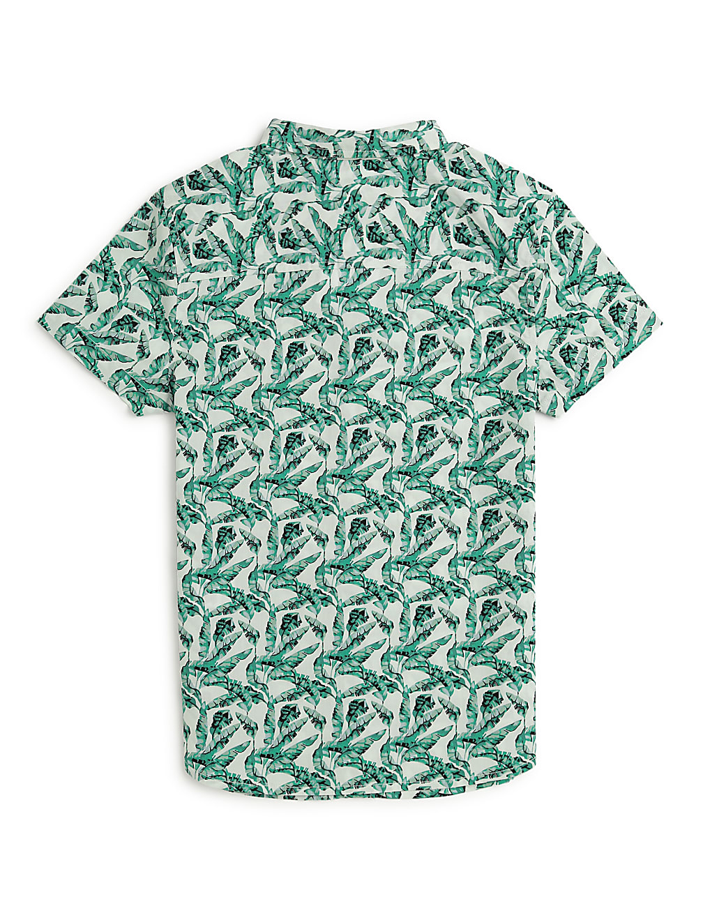 Pure Cotton Tropical Spread Collar Shirt