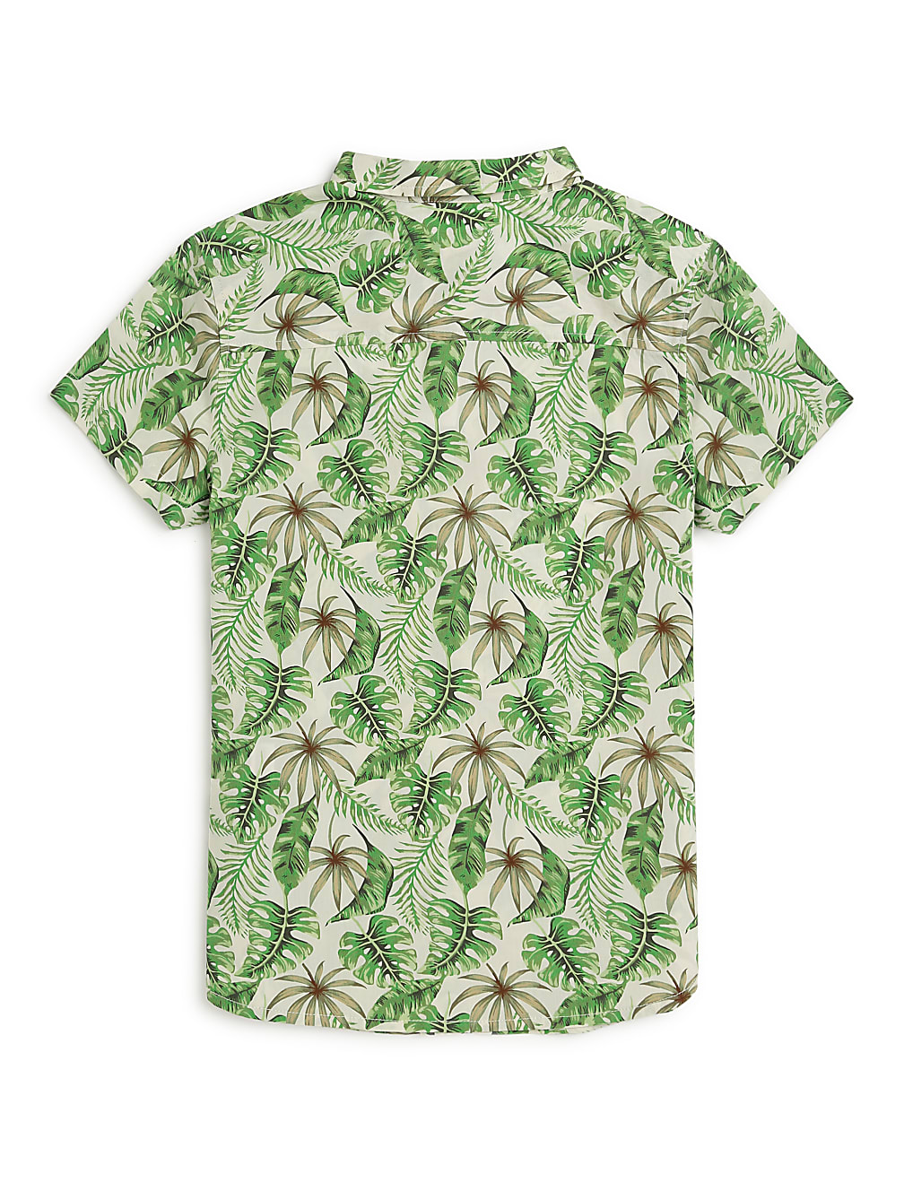 Pure Cotton Tropical Spread Collar Shirt