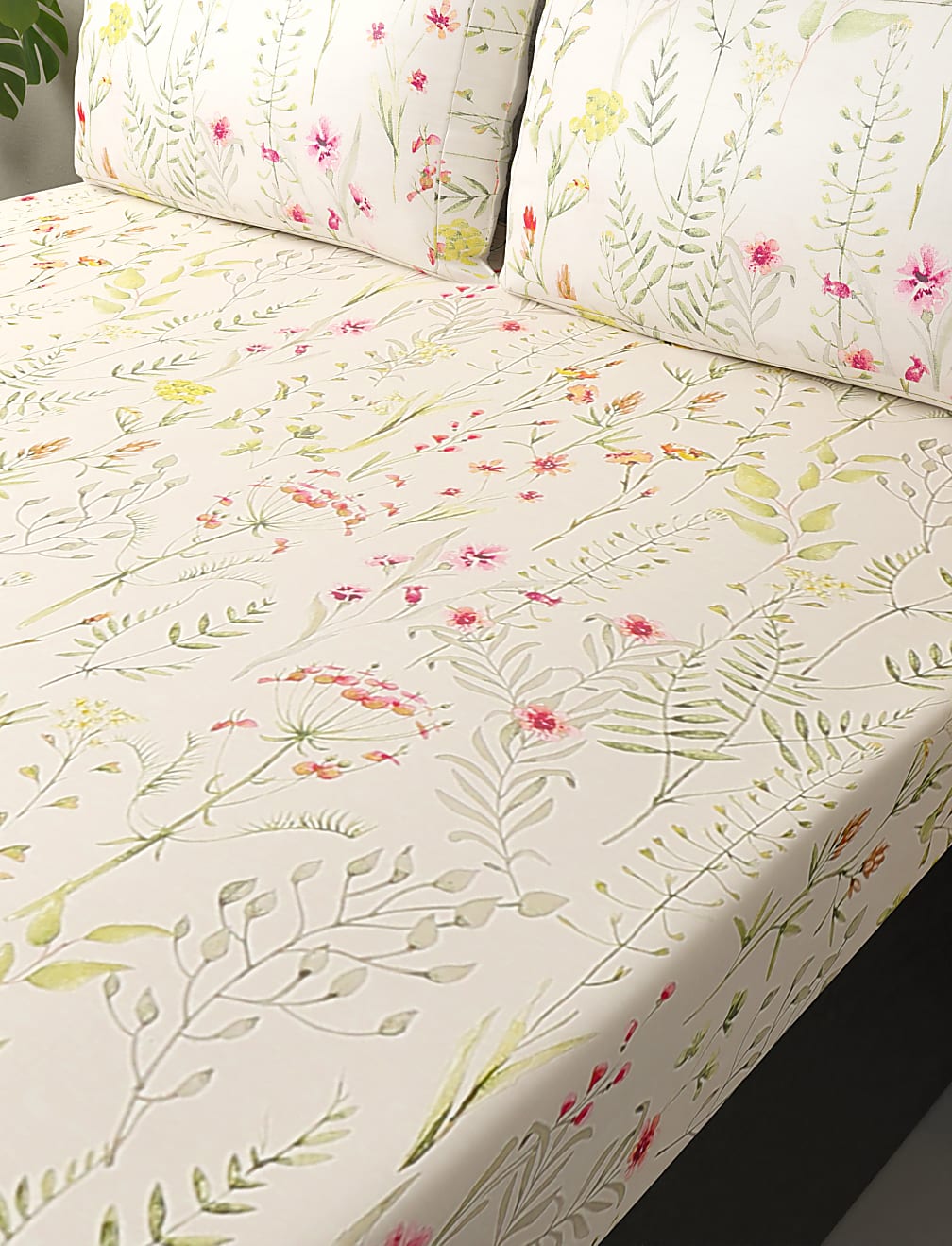 Pure Cotton Printed Bedsheet Set