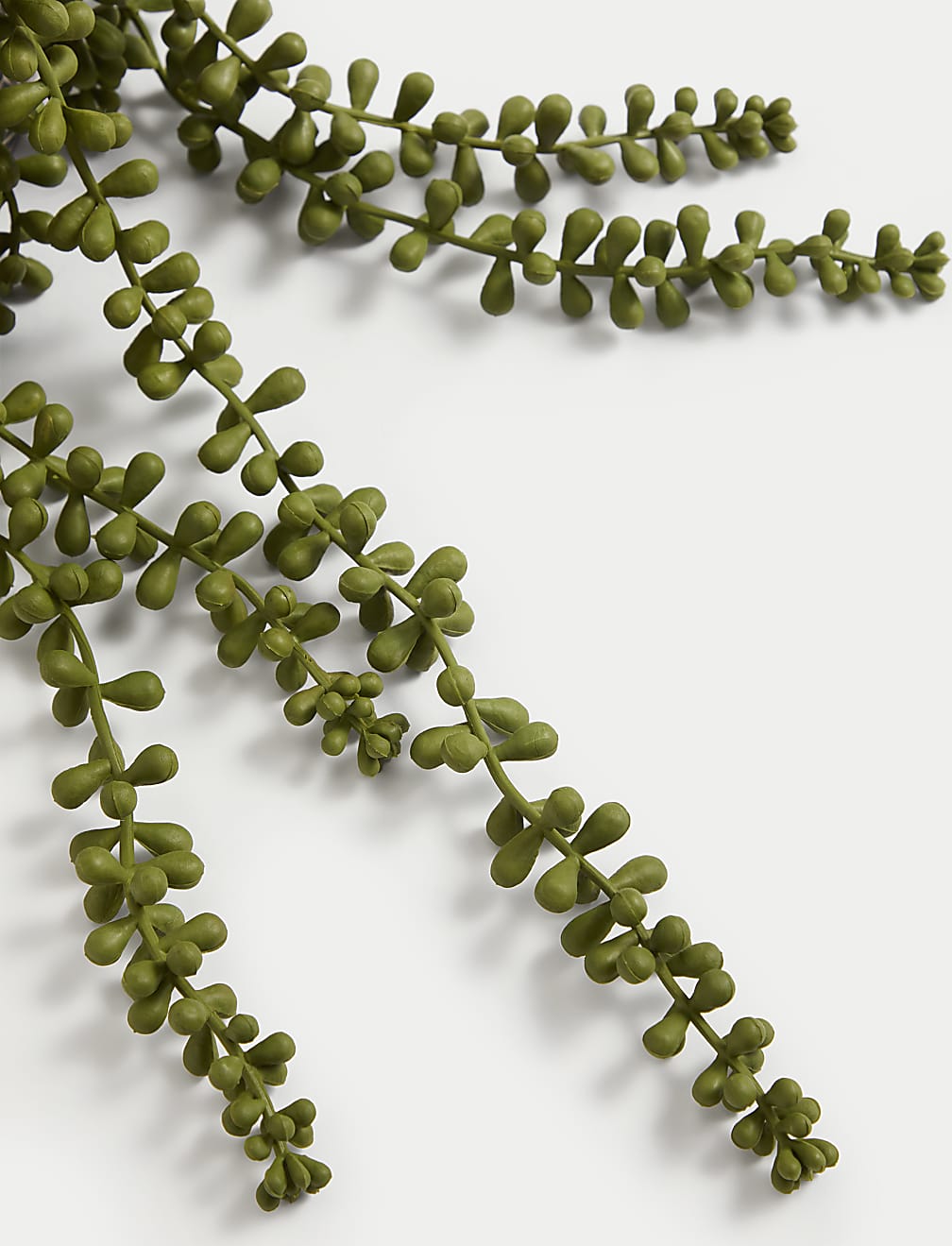 Artificial String of Pearls in Ceramic Pot
