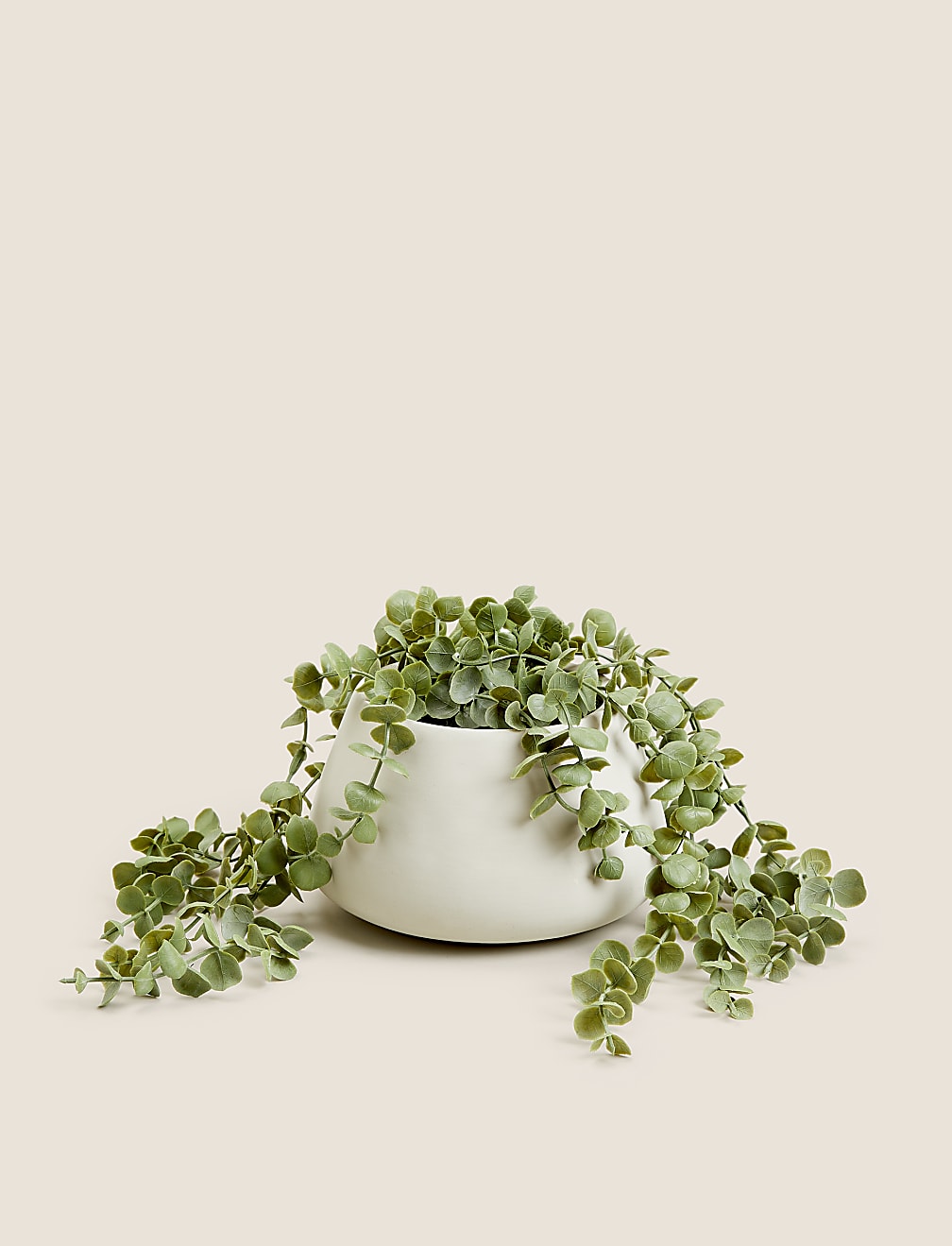 Artificial Trailing String of Hearts Plant