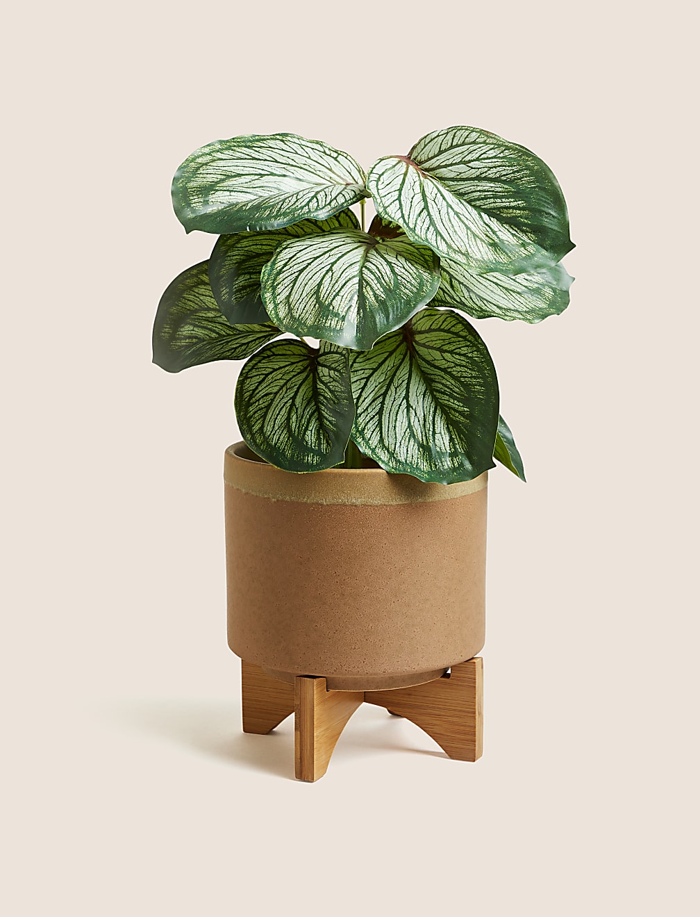 Medium Ceramic Planter