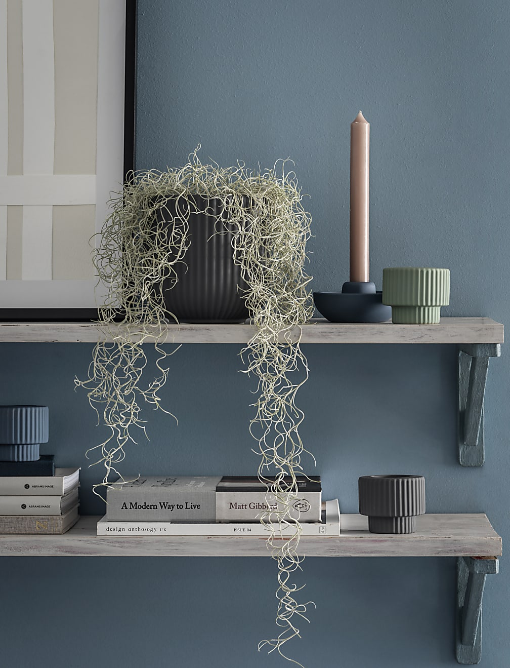 Large Ceramic Planter