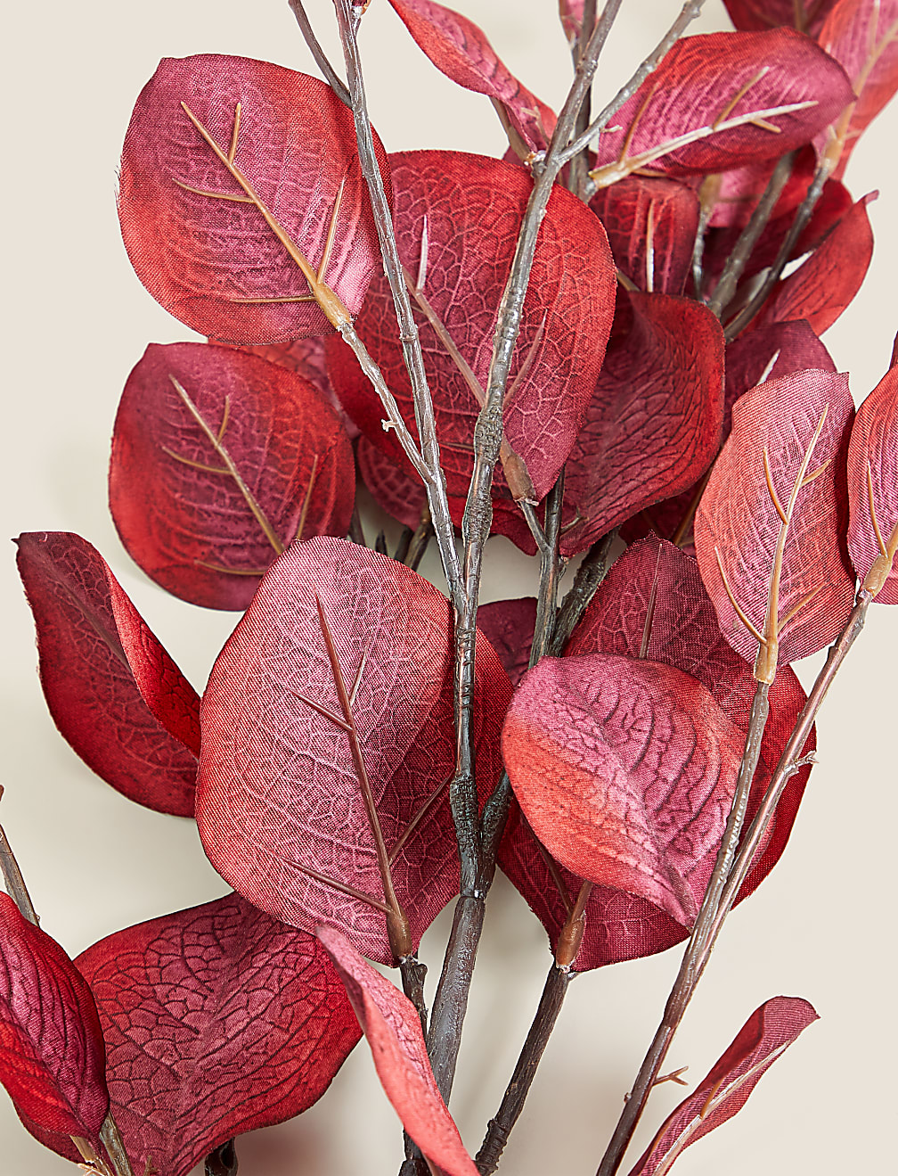 Set of 2 Artificial Eucalyptus Single Stems