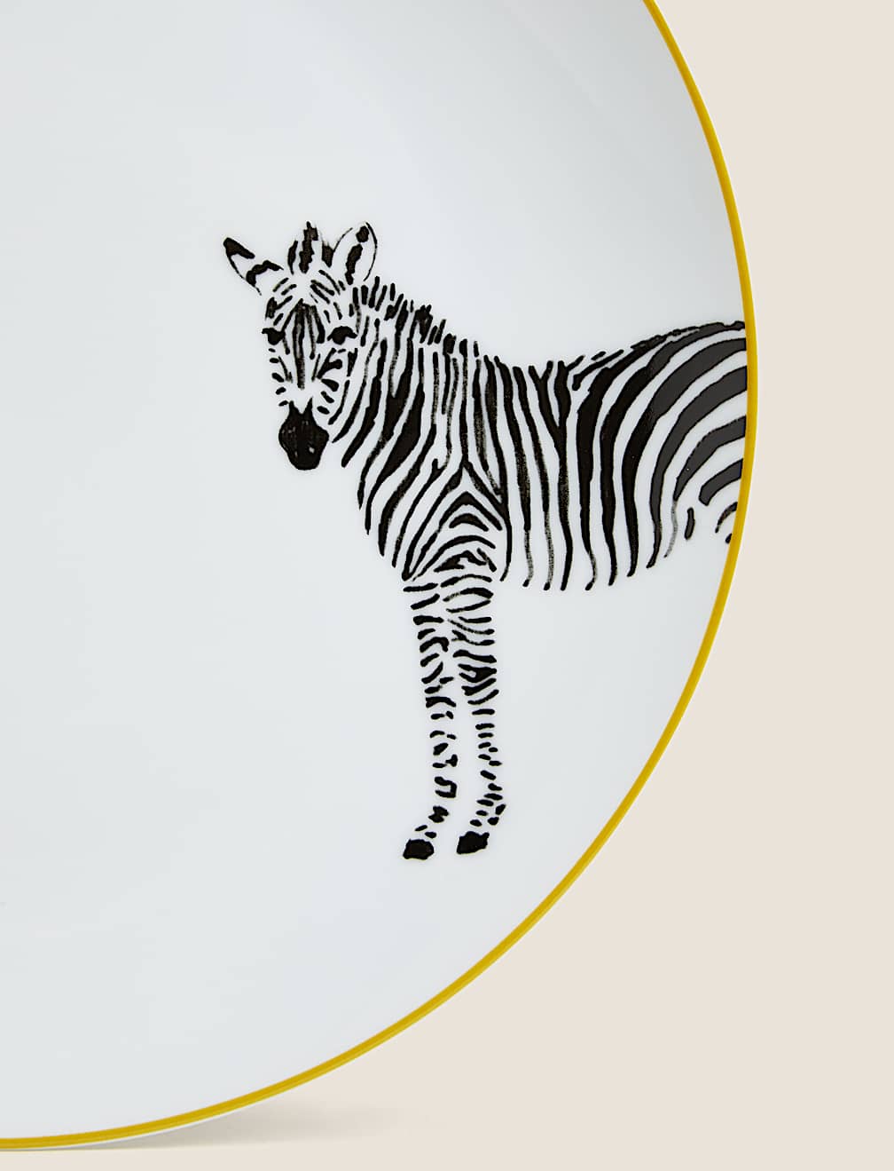 12 Piece Zebra Dinner Set