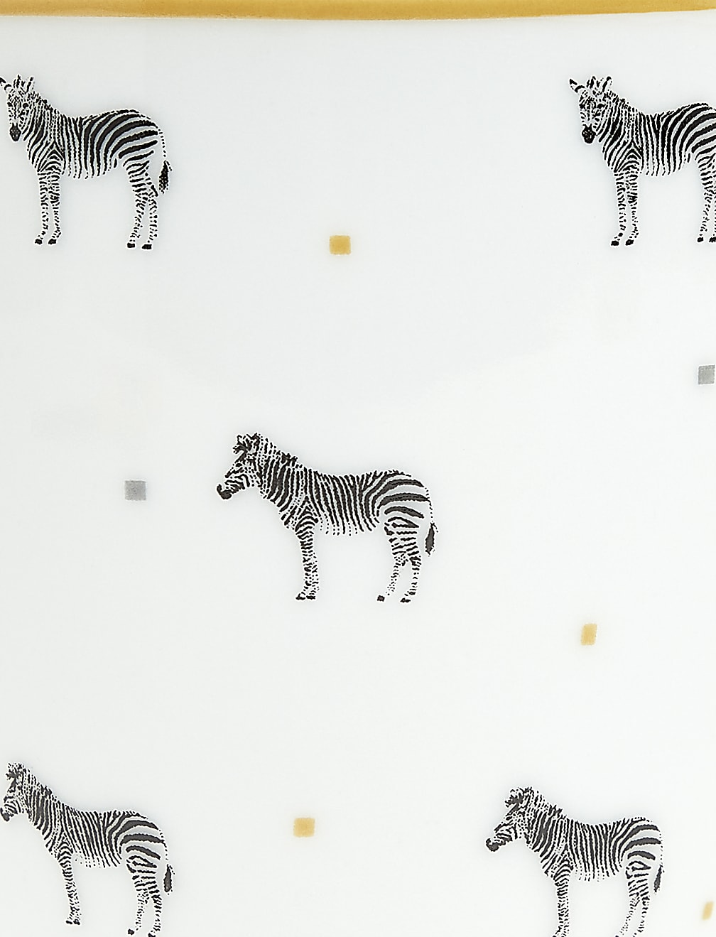 Set of 4 Zebra Mugs