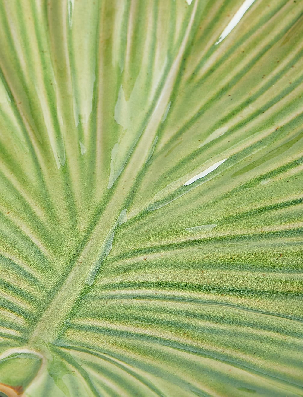 Jungle Picnic Leaf Plate