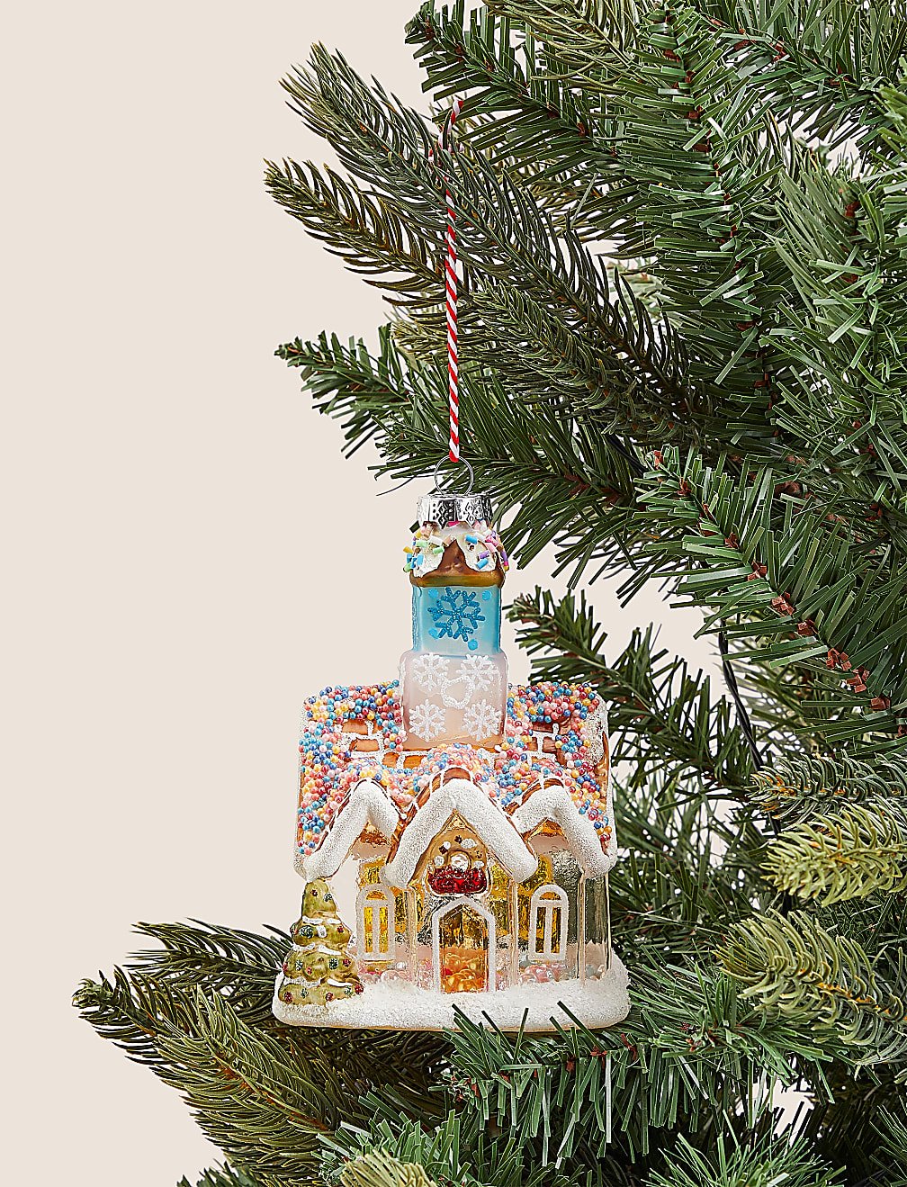 Hanging House Decoration