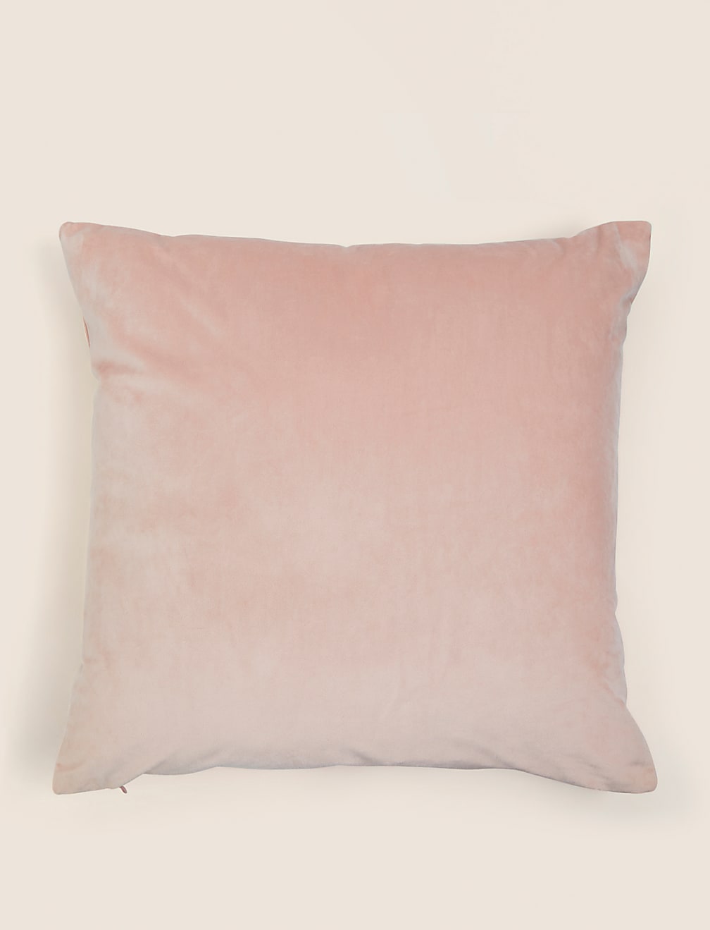 Velvet Cushion