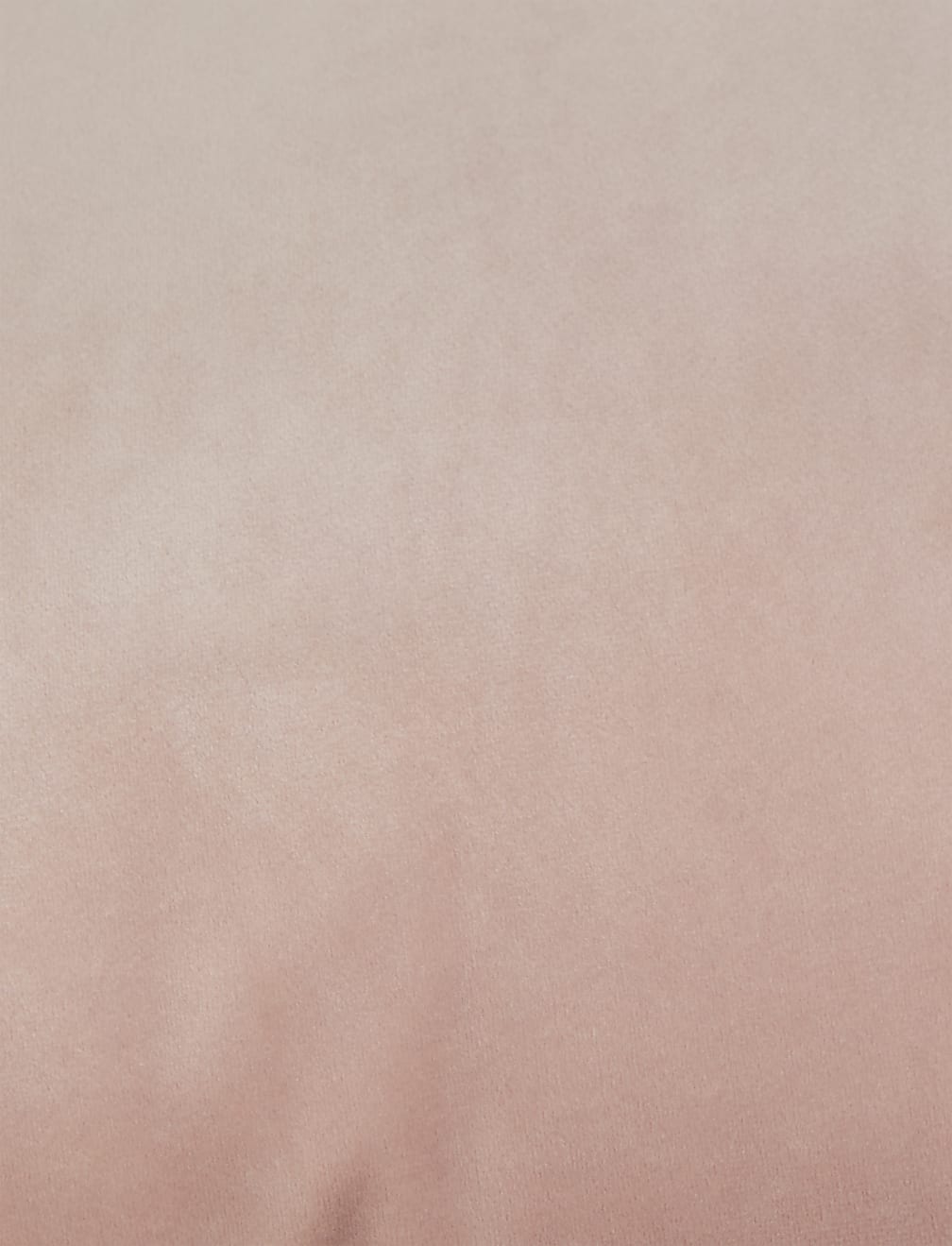 Velvet Cushion
