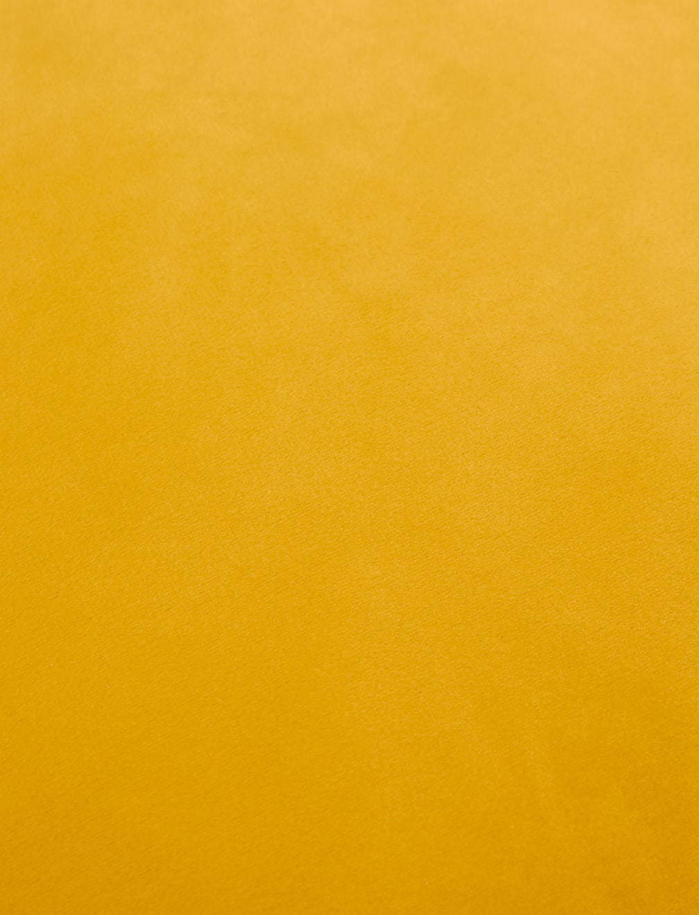 Velvet Cushion