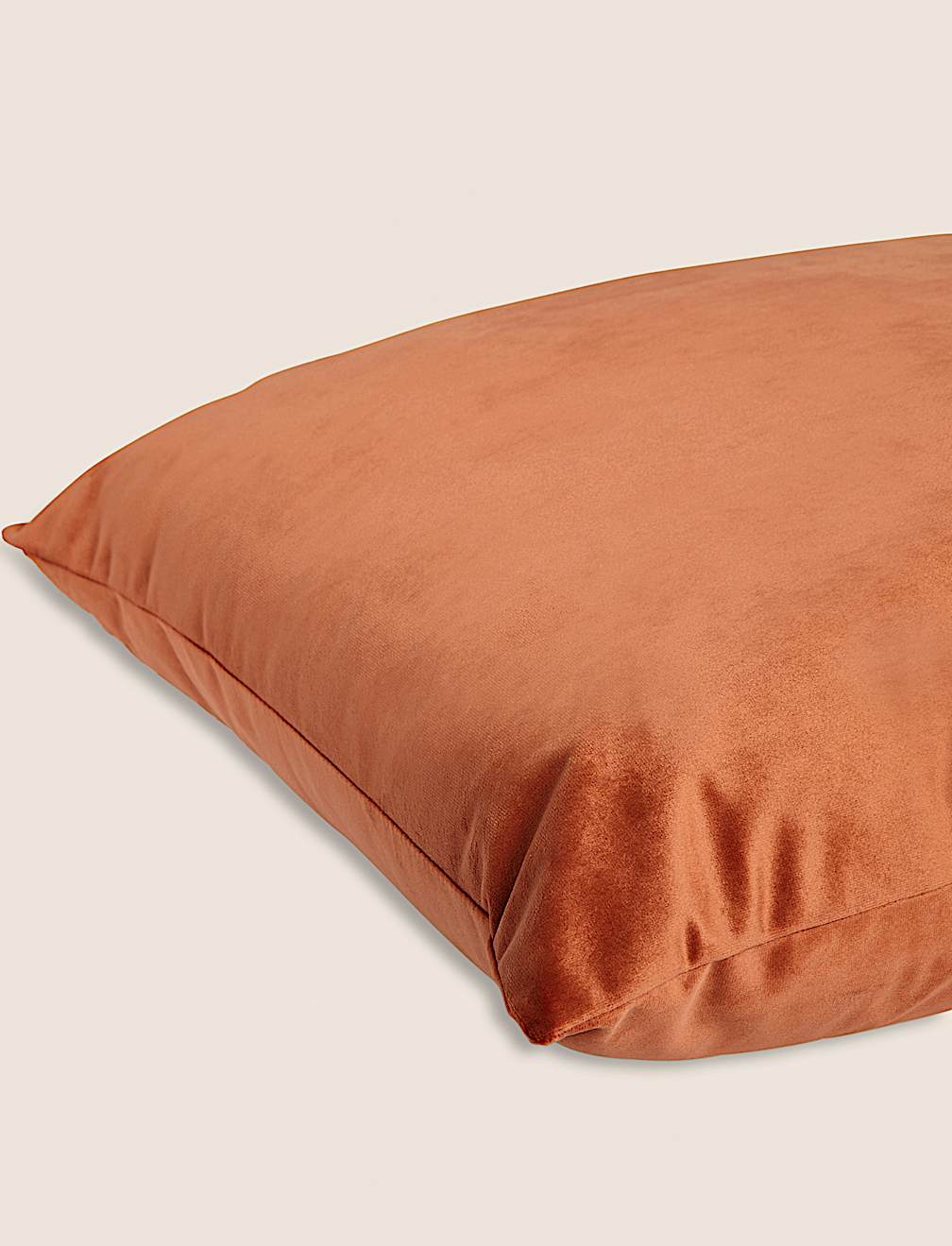 Velvet Cushion